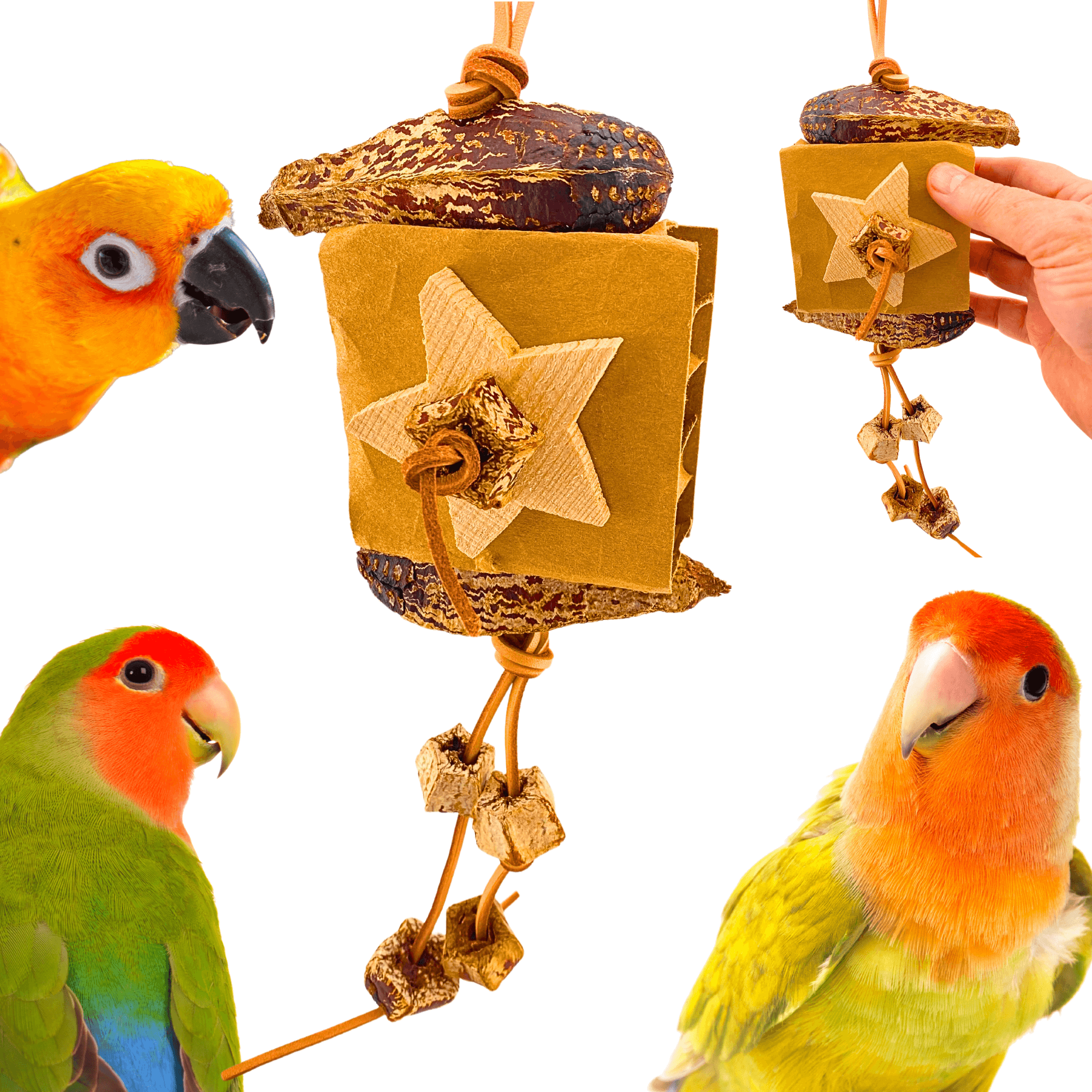 1144 Star Forage Block - Bonka Bird Toys