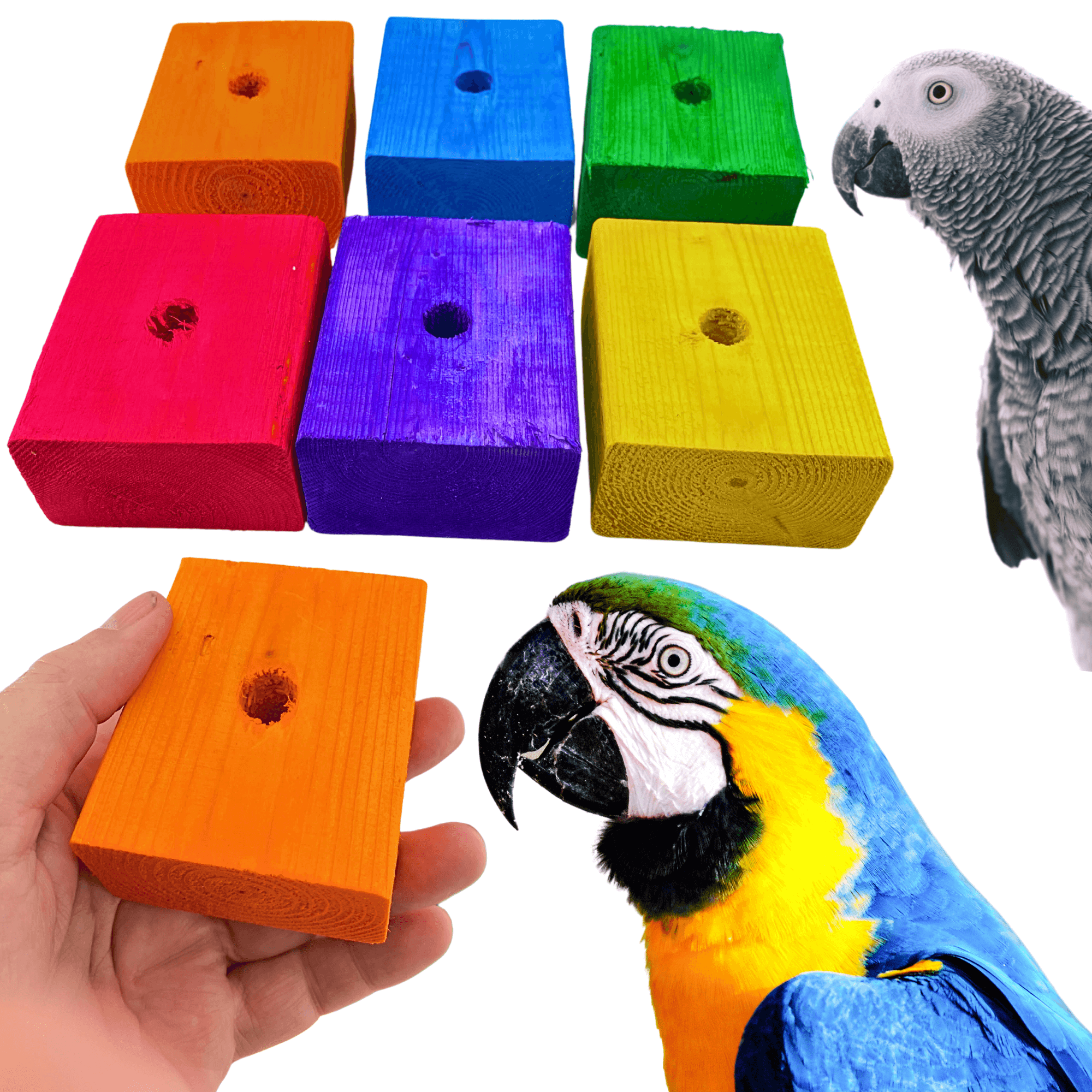 1172 Pk6 Jumbo Color Blocks - Bonka Bird Toys