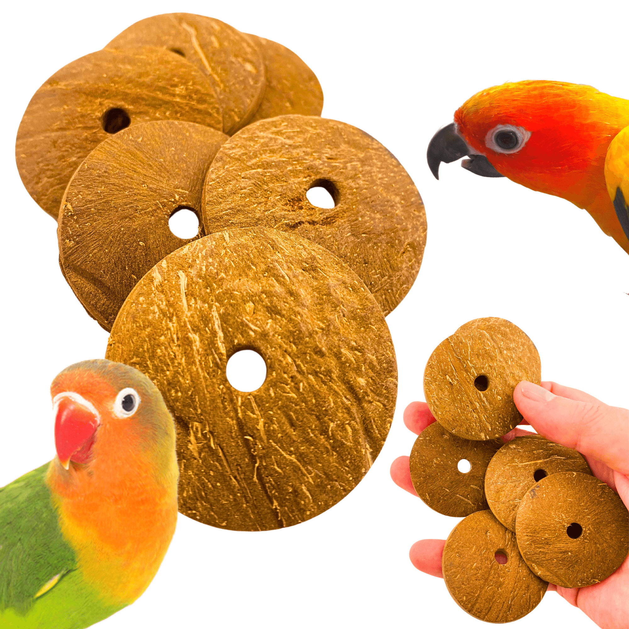 1252 Pk6 Small Coconut Disks - Bonka Bird Toys