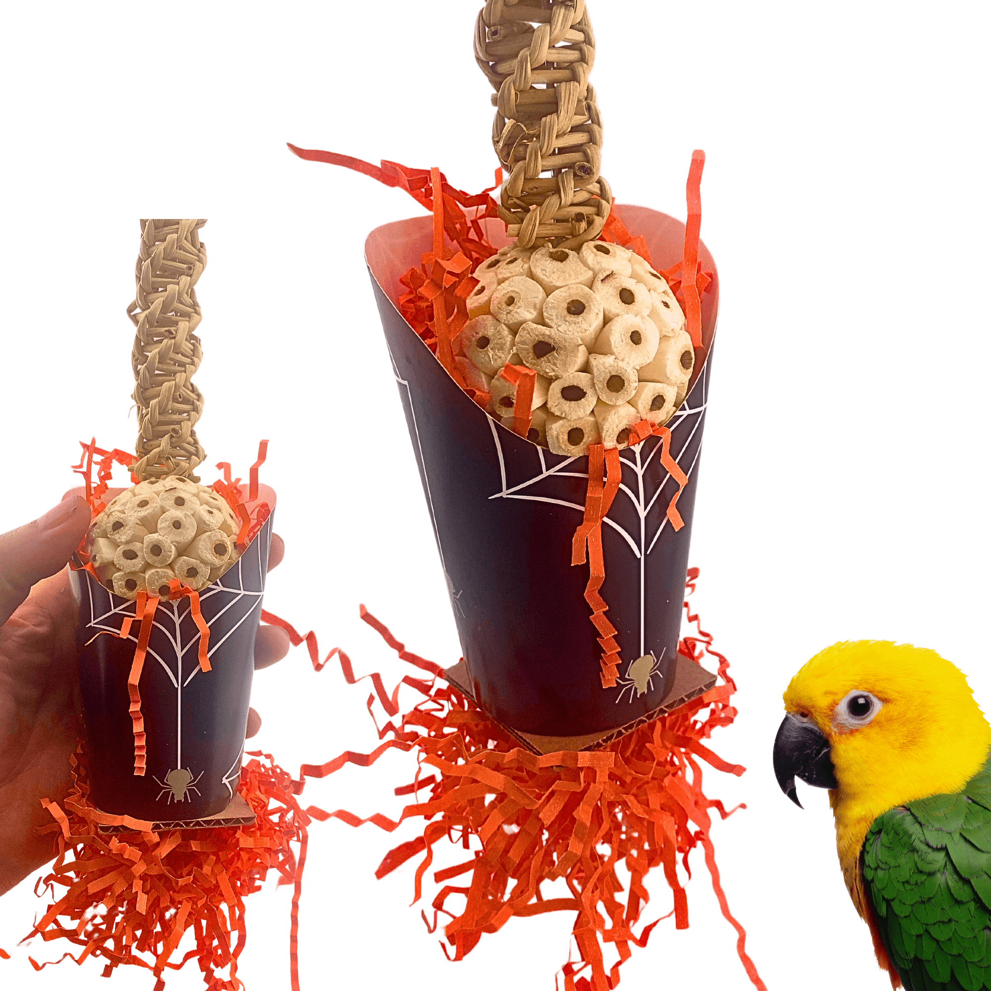 2707 Halloween Spider Cup - Bonka Bird Toys