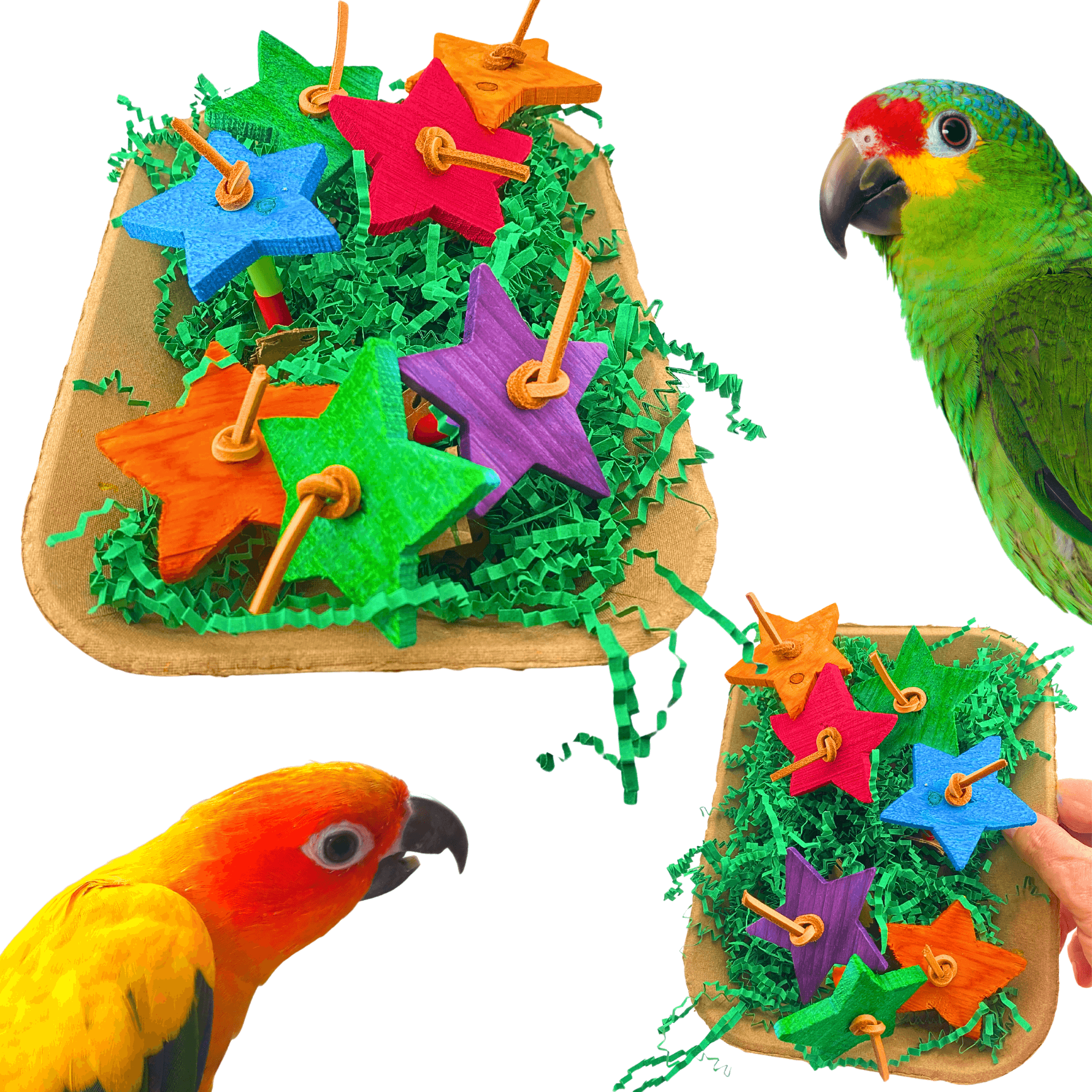 1430 Foraging Daisy Garden - Bonka Bird Toys