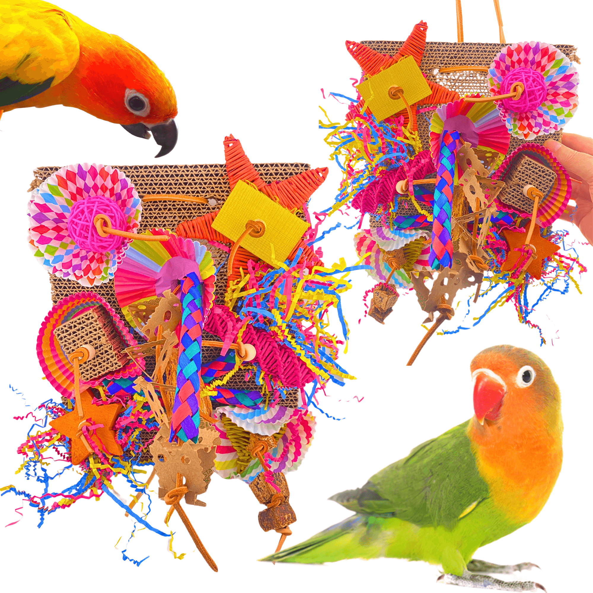 2644 Fiesta Foraging Board - Bonka Bird Toys