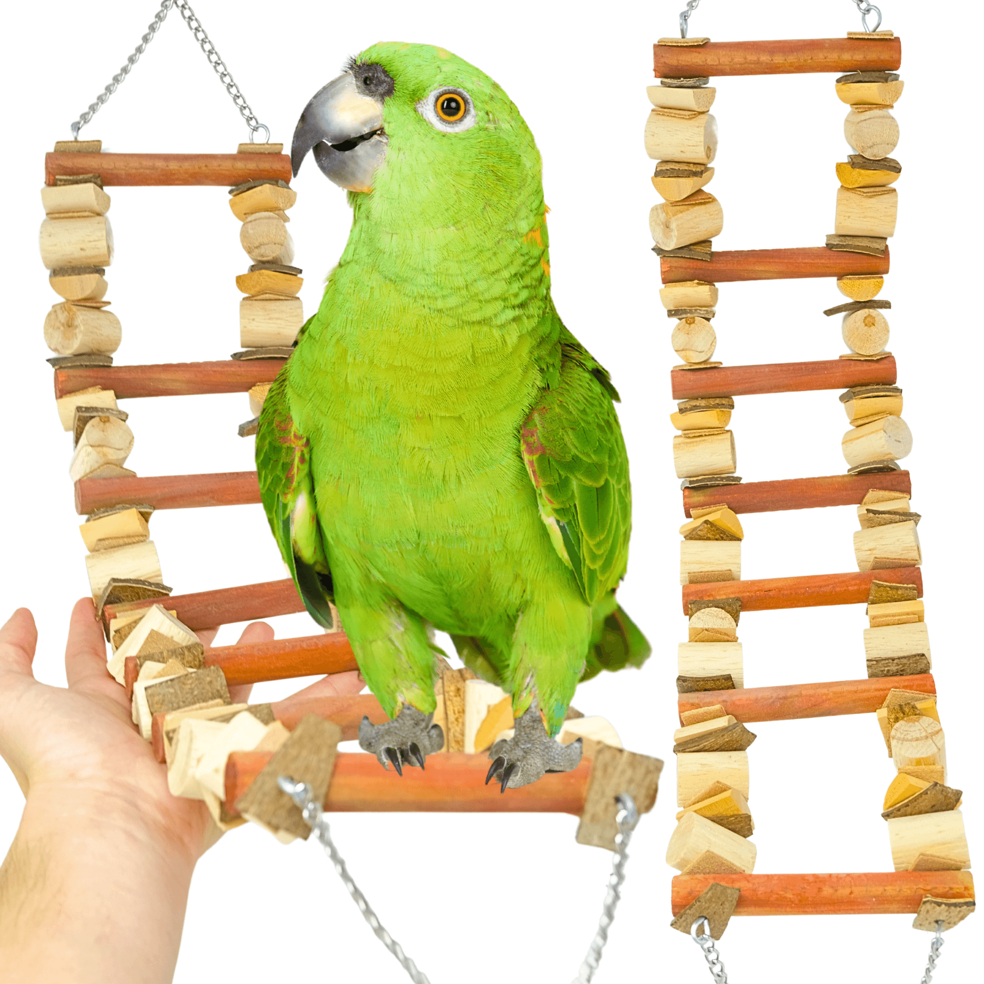 2625 Coco Ladder - Bonka Bird Toys