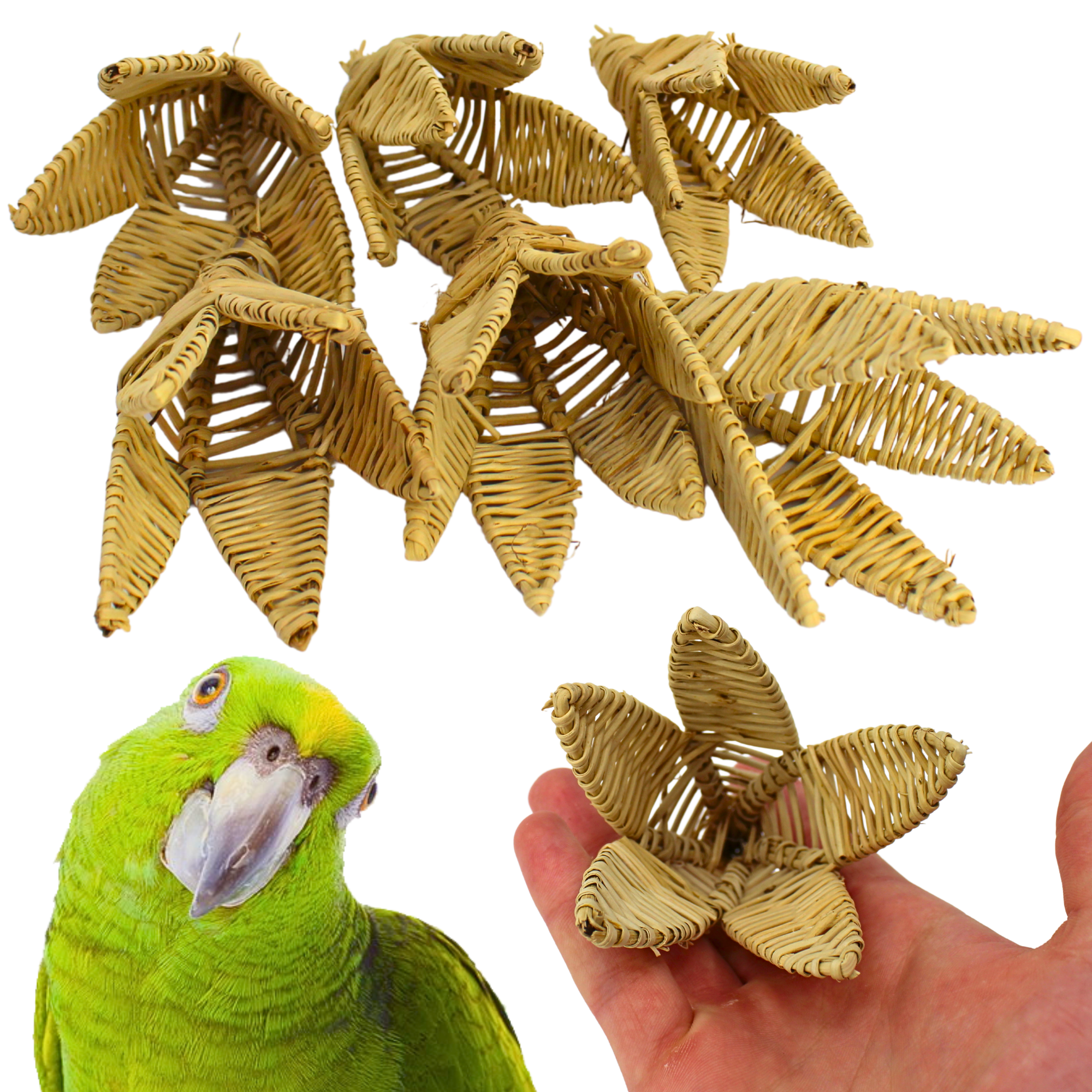 1268 PK6 Vine Lilies - Bonka Bird Toys