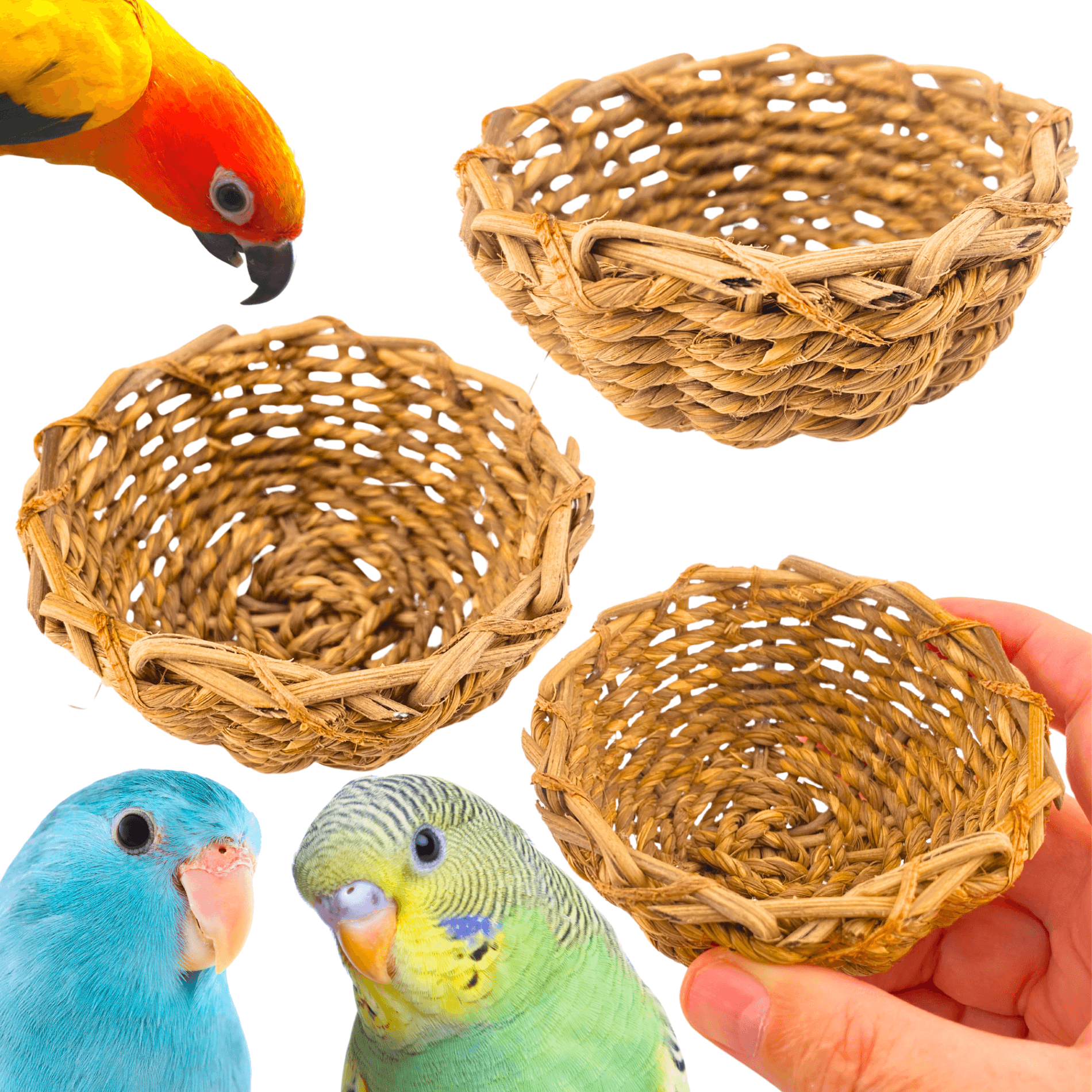 1262 Natural Grass Bowl - Bonka Bird Toys