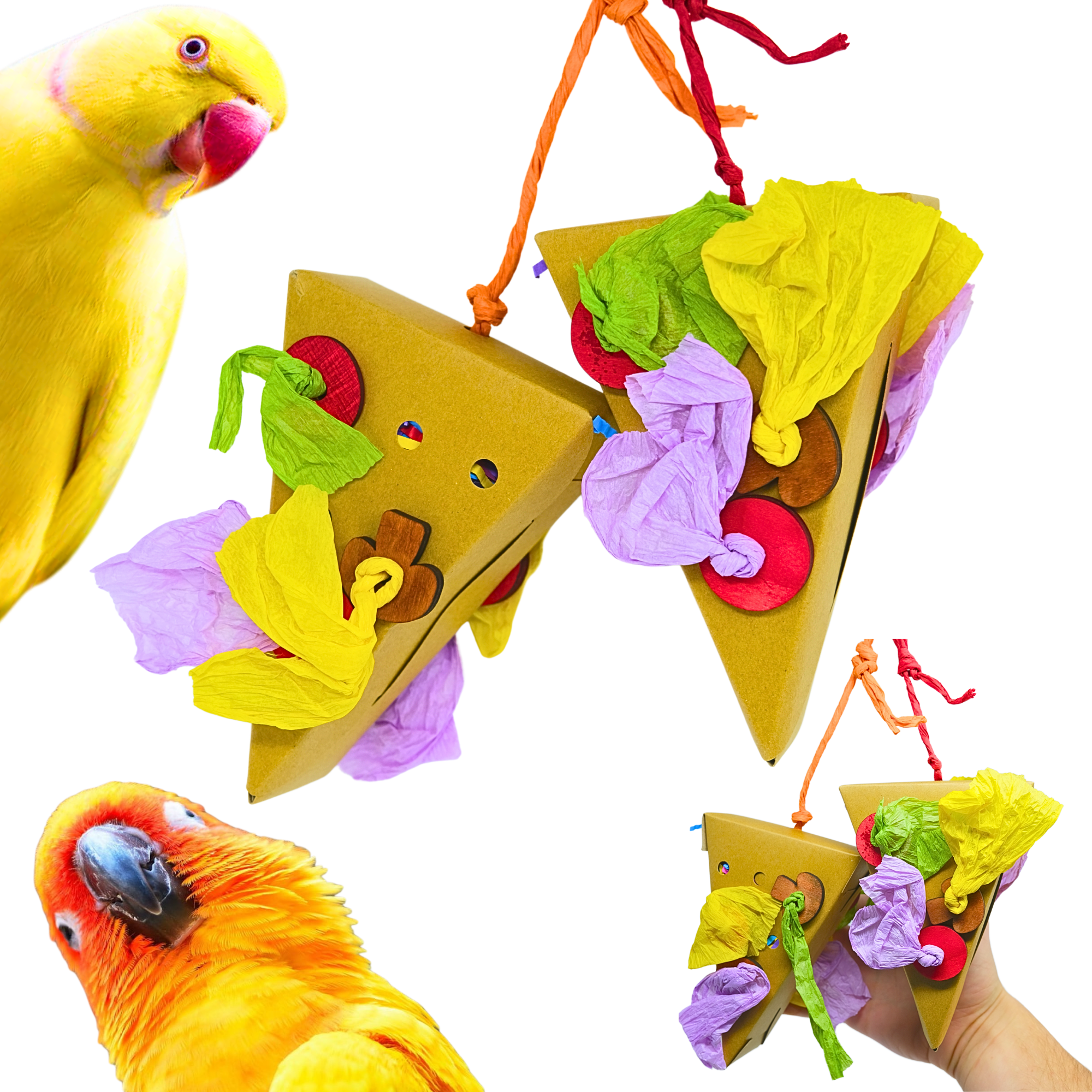 2224 Duo Medium Pizza Slice - Bonka Bird Toys