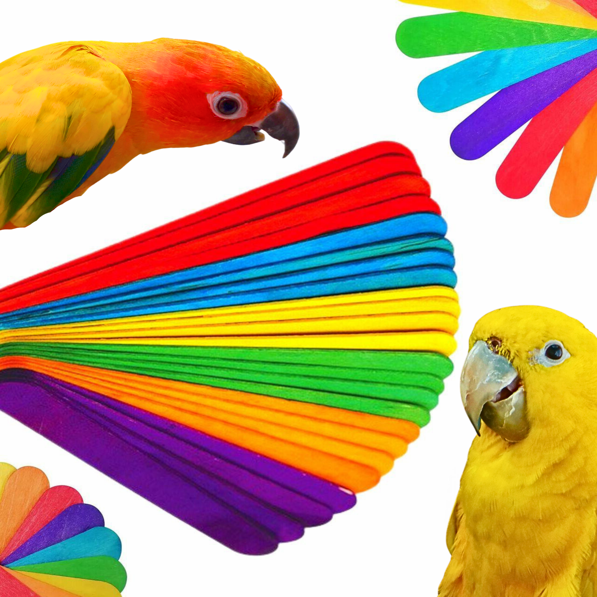 Pk100 Big Colored Wooden Chewy Sticks - Bonka Bird Toys