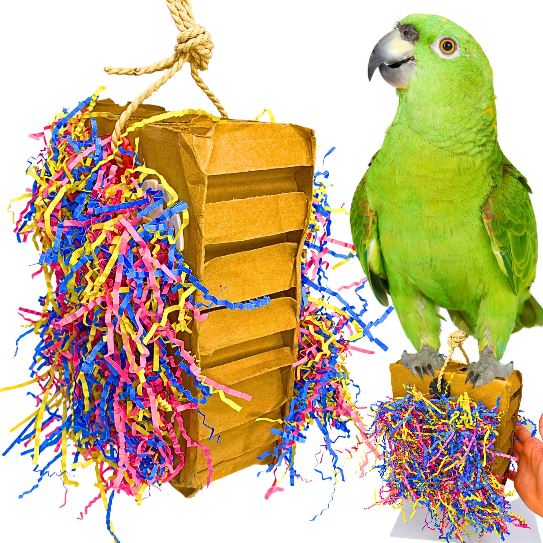 3805 Extra Large Harry Box - Bonka Bird Toys