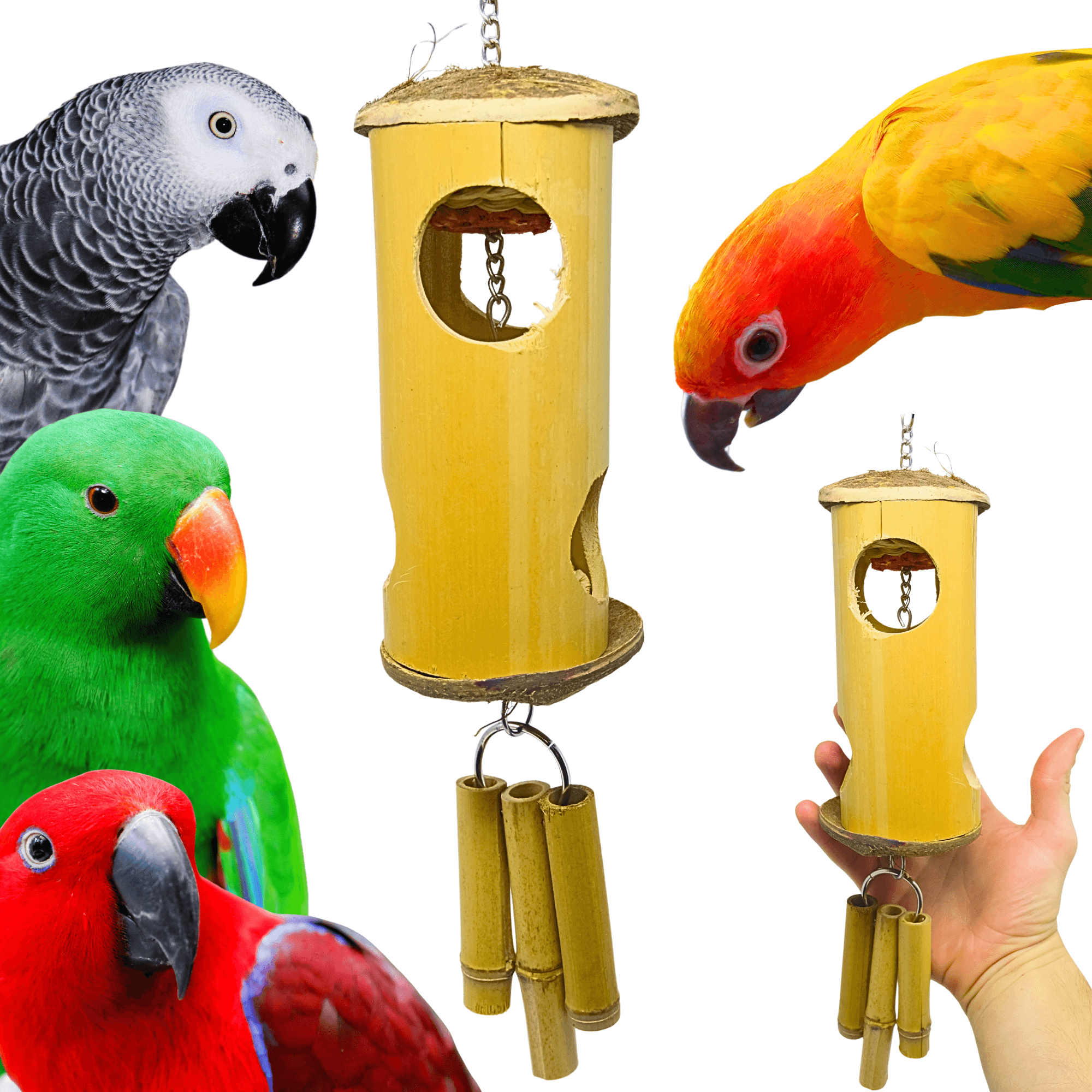 1240 Bamboozle - Bonka Bird Toys