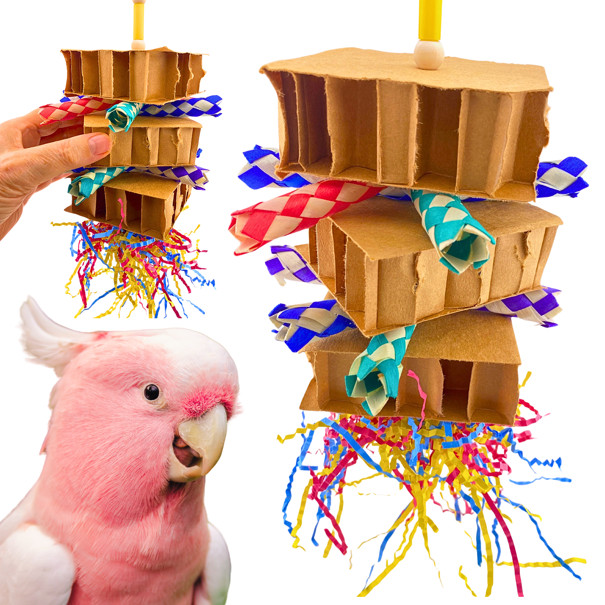 3734 Clown Box - Bonka Bird Toys