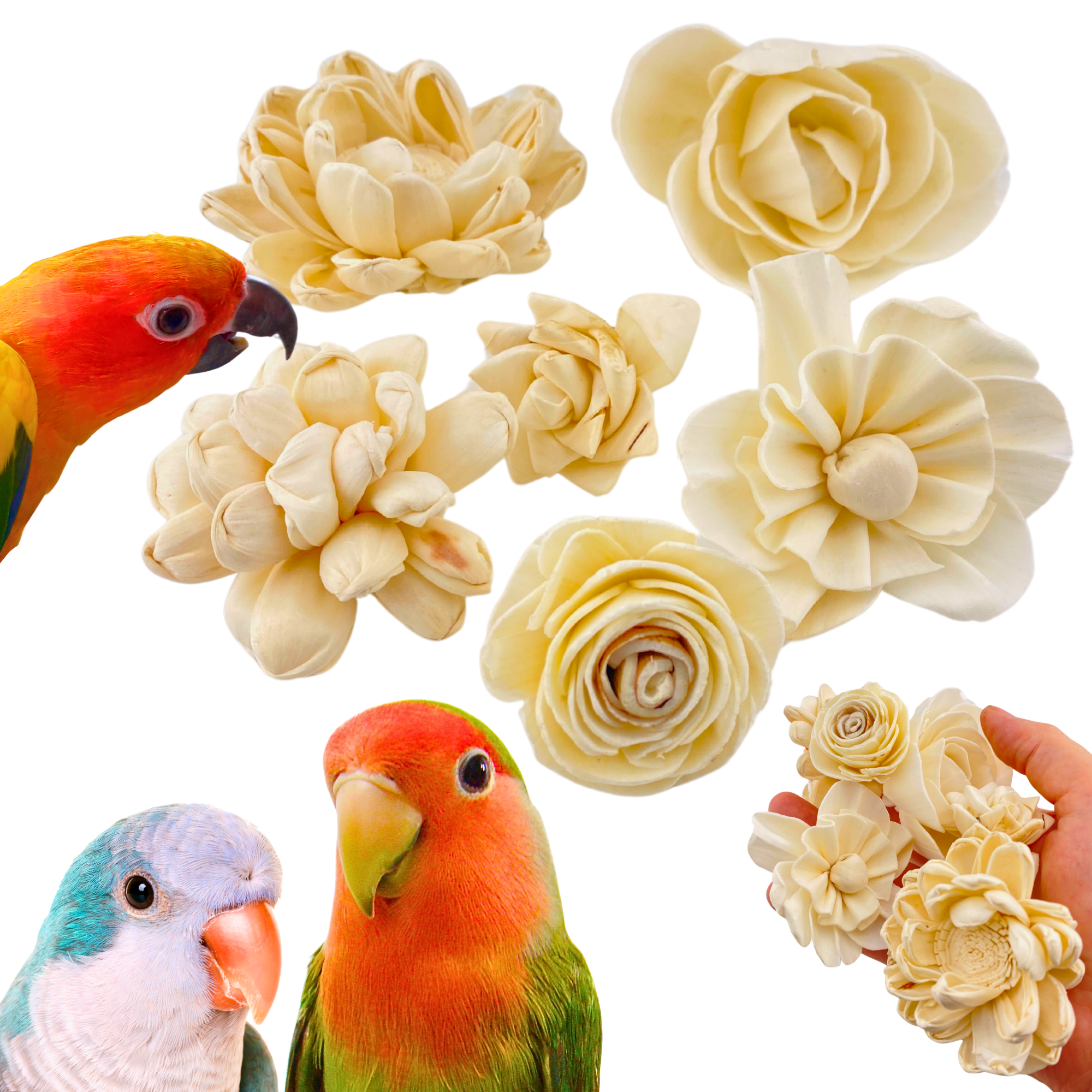 3604 Pk6 Assorted Sola Flowers - Bonka Bird Toys