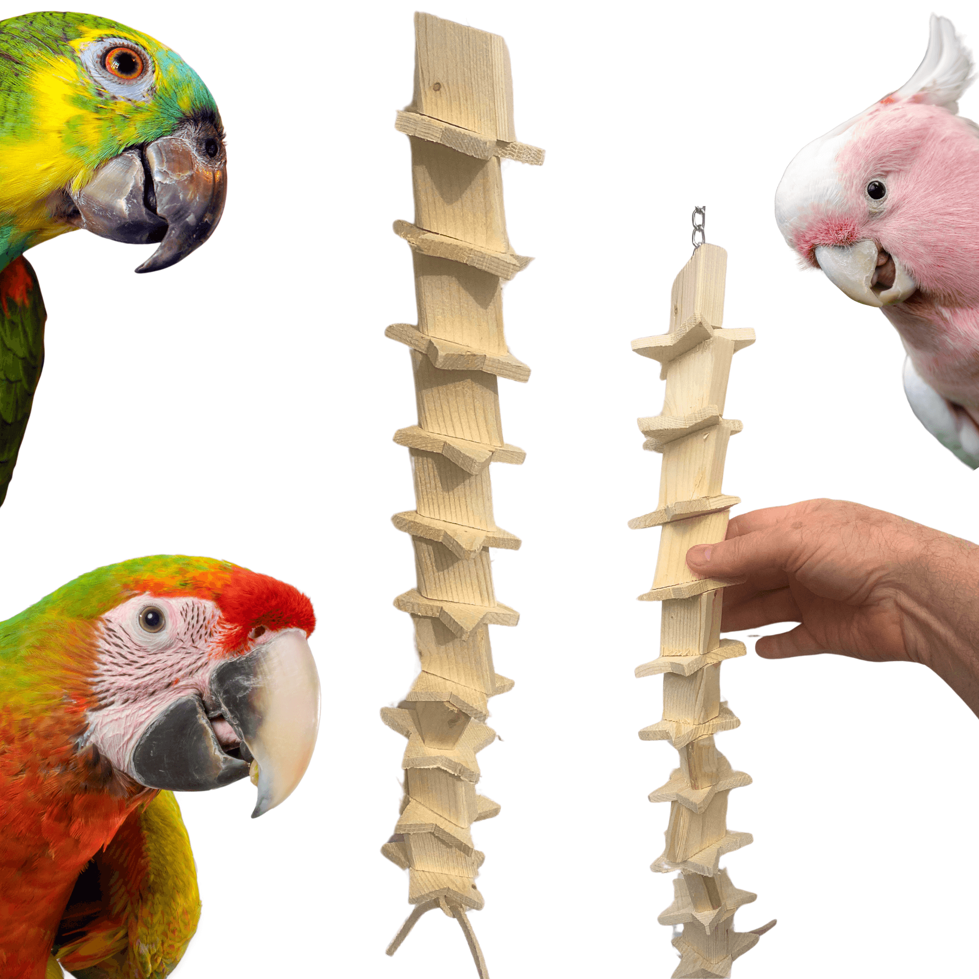 1096 Natural Long Wood Star - Bonka Bird Toys