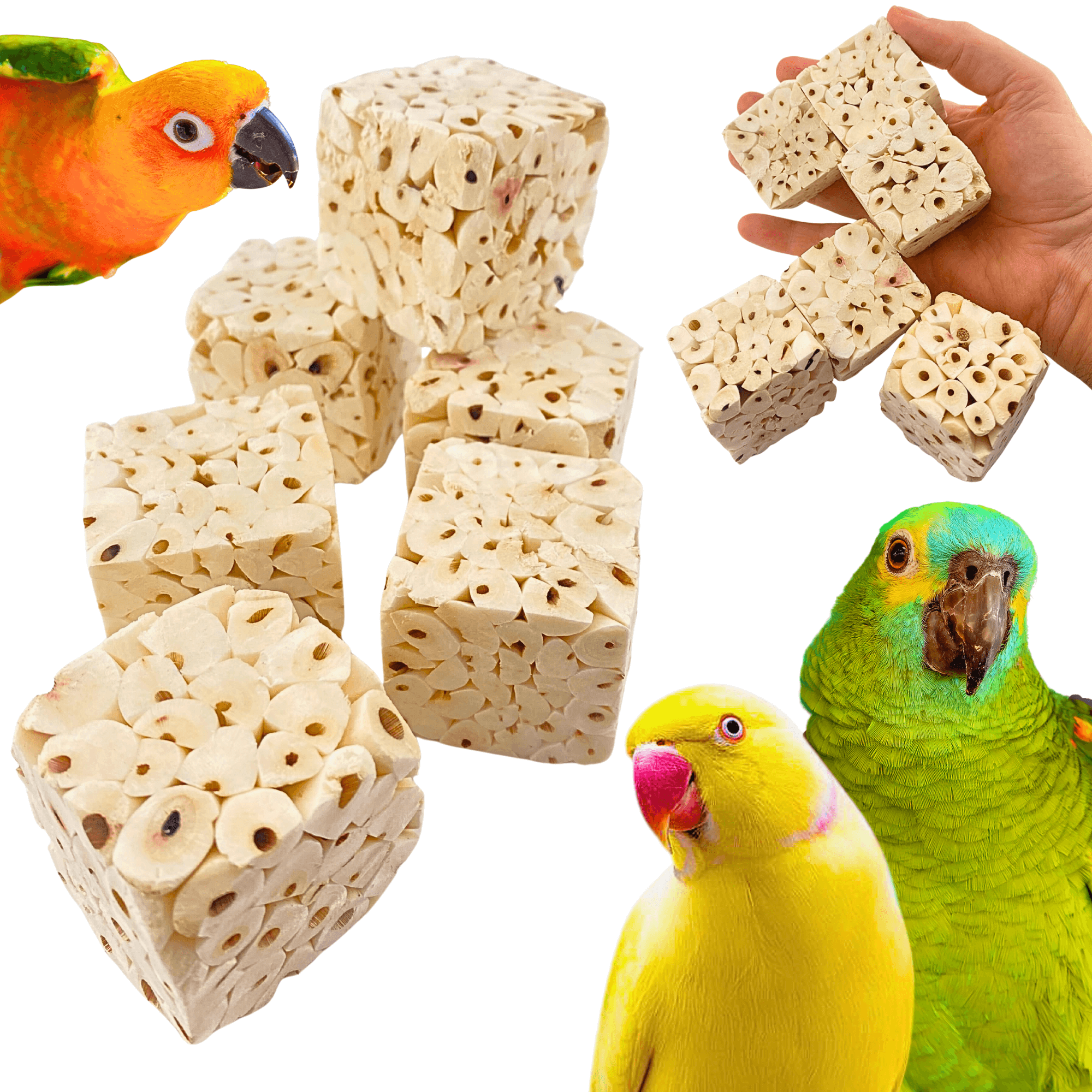 Small Sola Cubes - Bonka Bird Toys