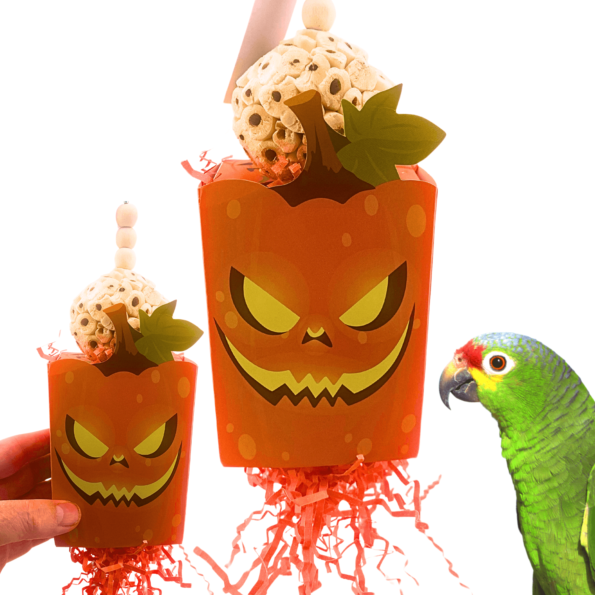 2684 Halloween Pumpkin Box - Bonka Bird Toys