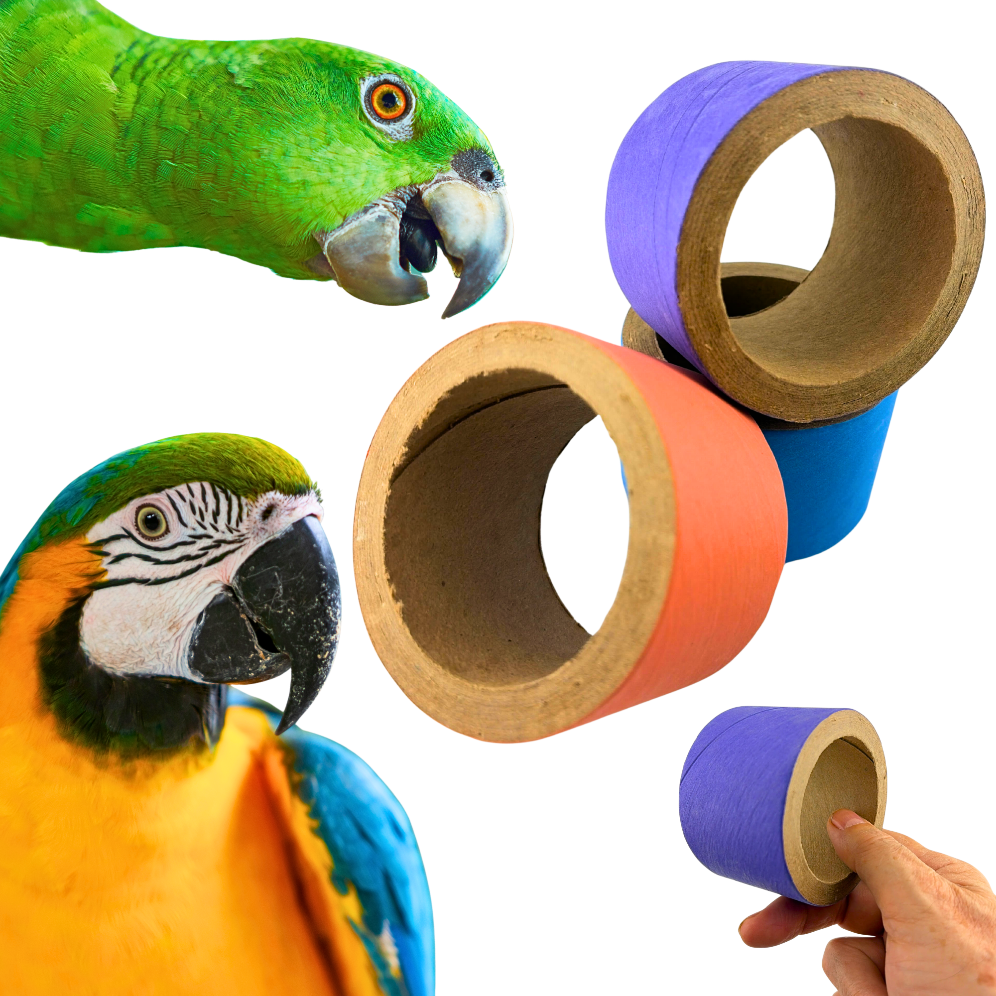 2782 Pk3 Big Fatty Bagels - Bonka Bird Toys