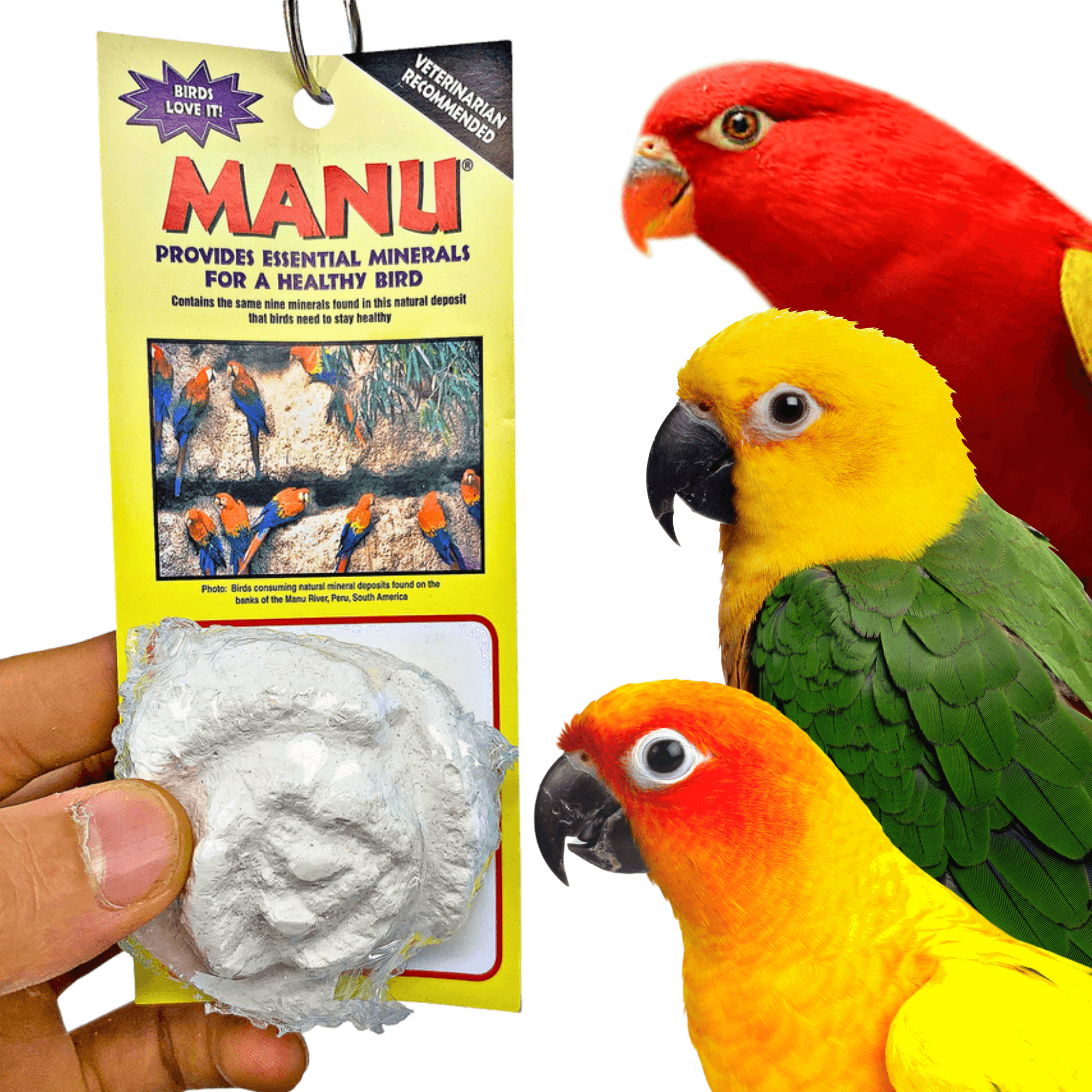 3244 Small Manu Rose White - Bonka Bird Toys