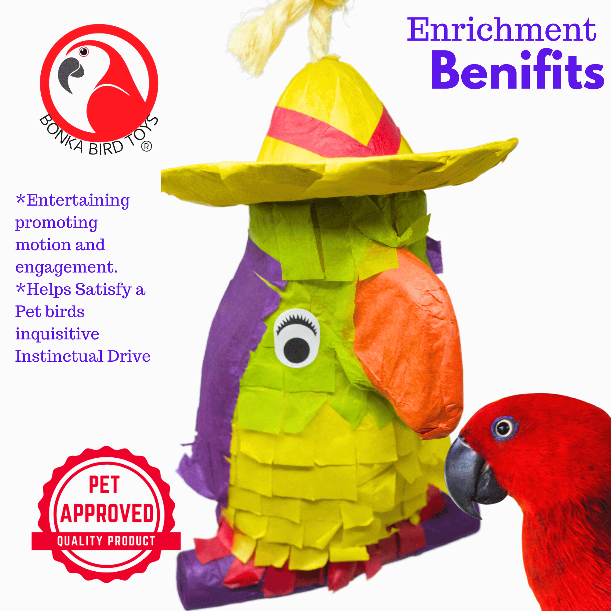 2587 Pinata Parrot - Bonka Bird Toys