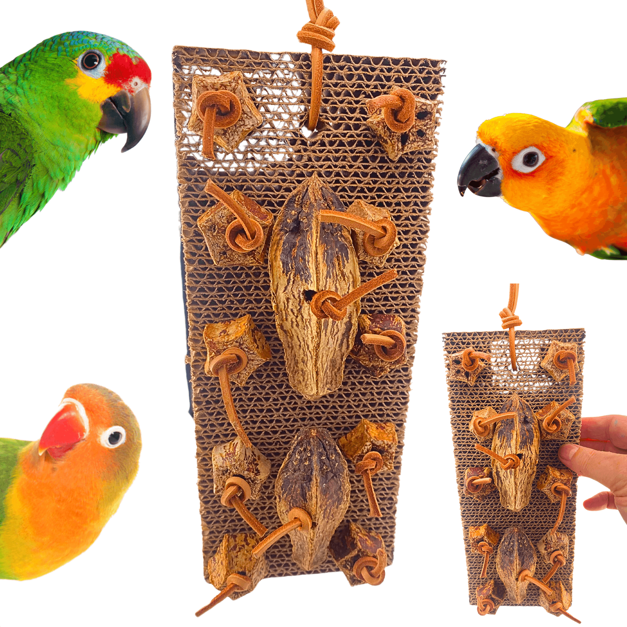 1423 Mahogany Munch Board - Bonka Bird Toys