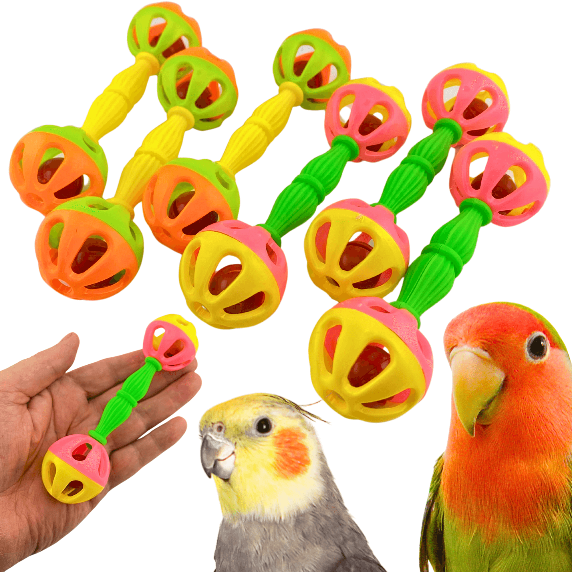 3161 Pk6 Birdie Barbell - Bonka Bird Toys