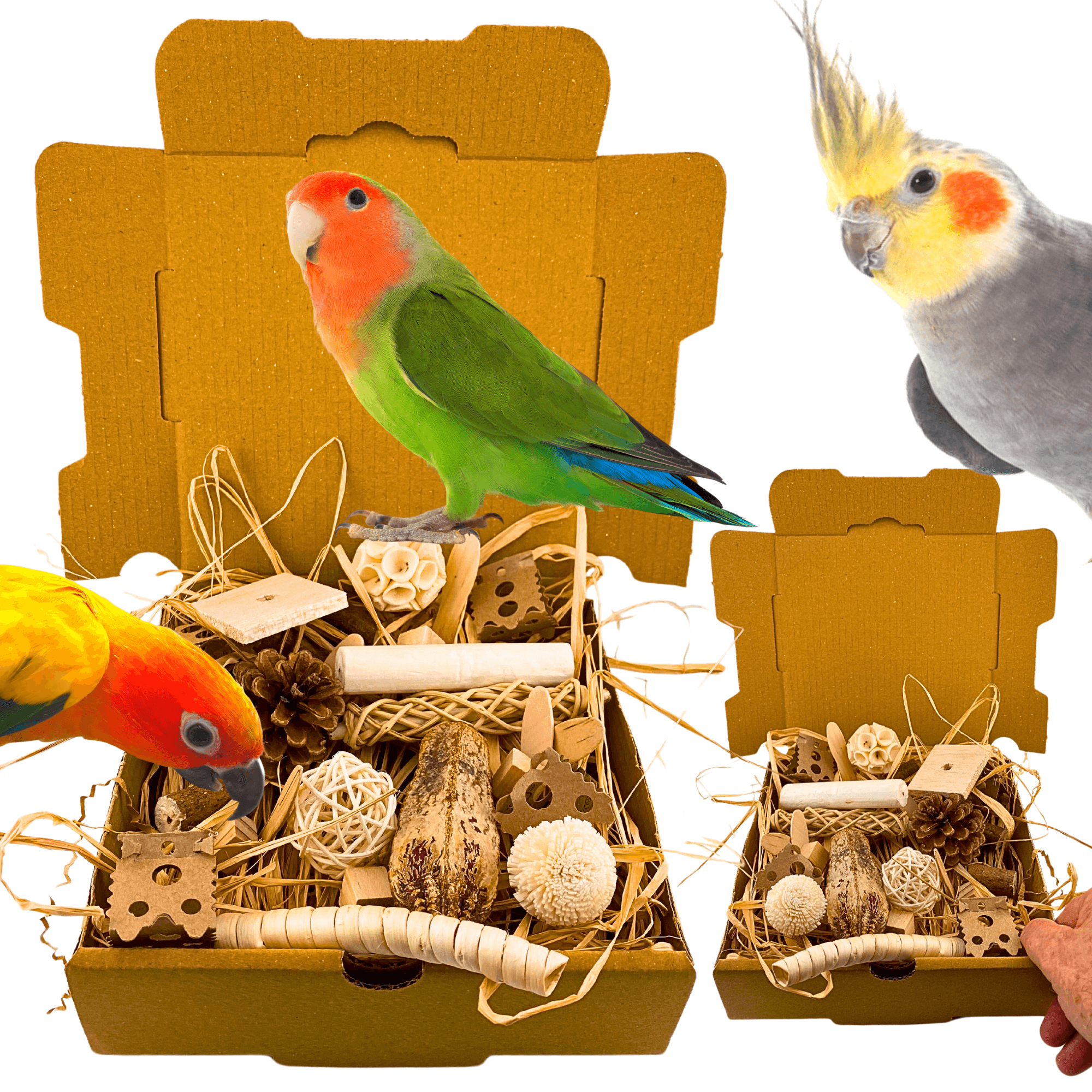 2028 Natural Foraging Bonka Box - Bonka Bird Toys