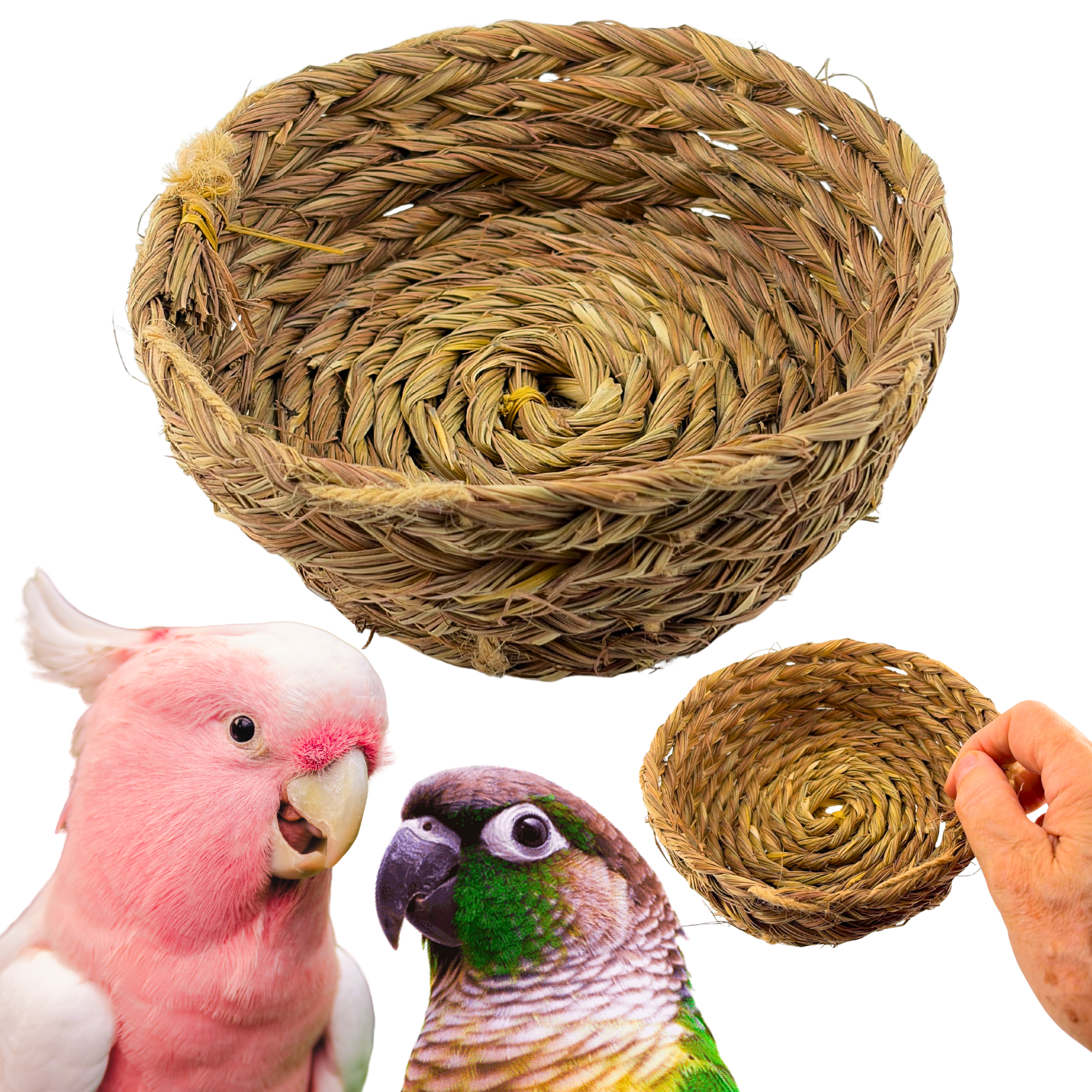 3393 Big Seagrass Nest Bowl - Bonka Bird Toys