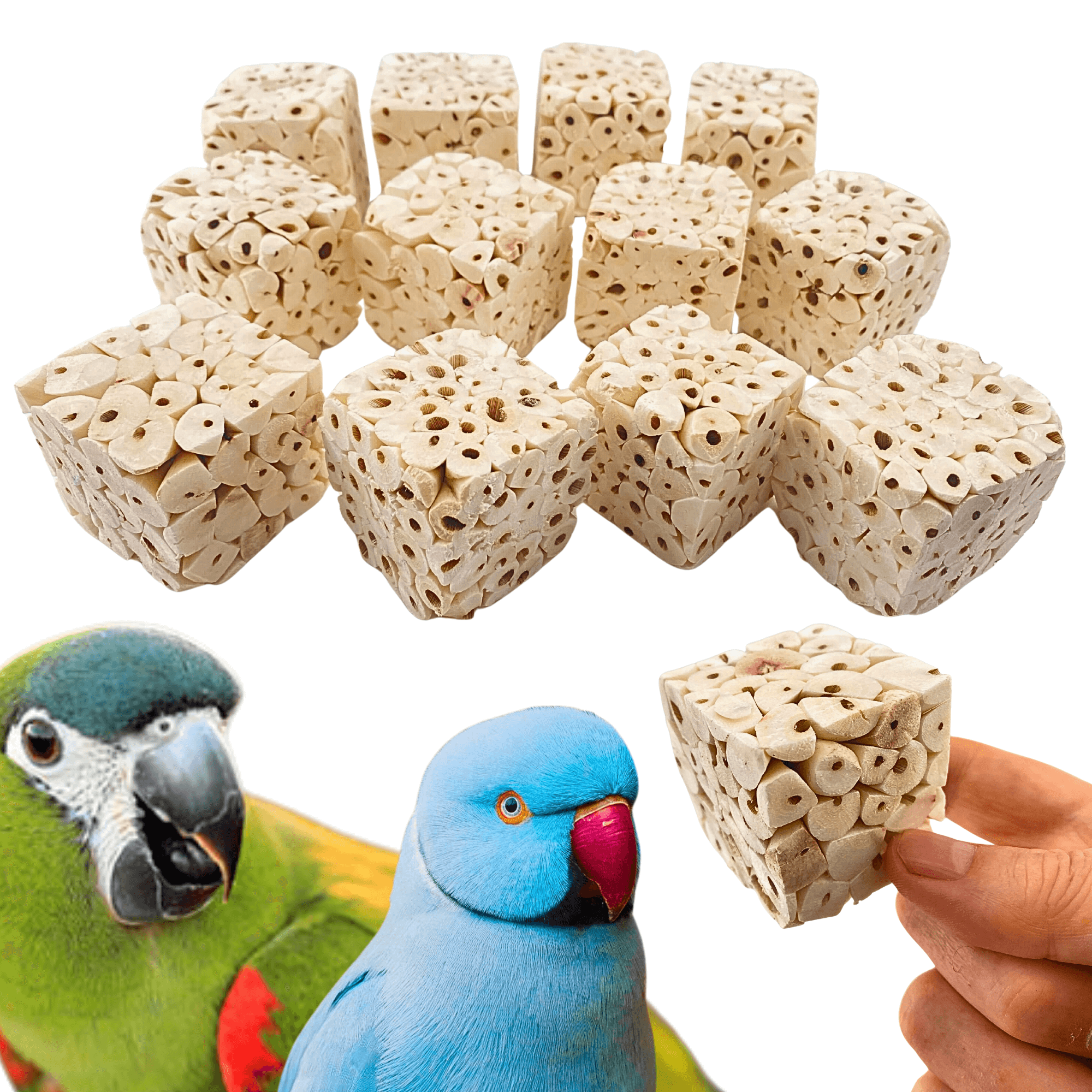 Small Sola Cubes - Bonka Bird Toys