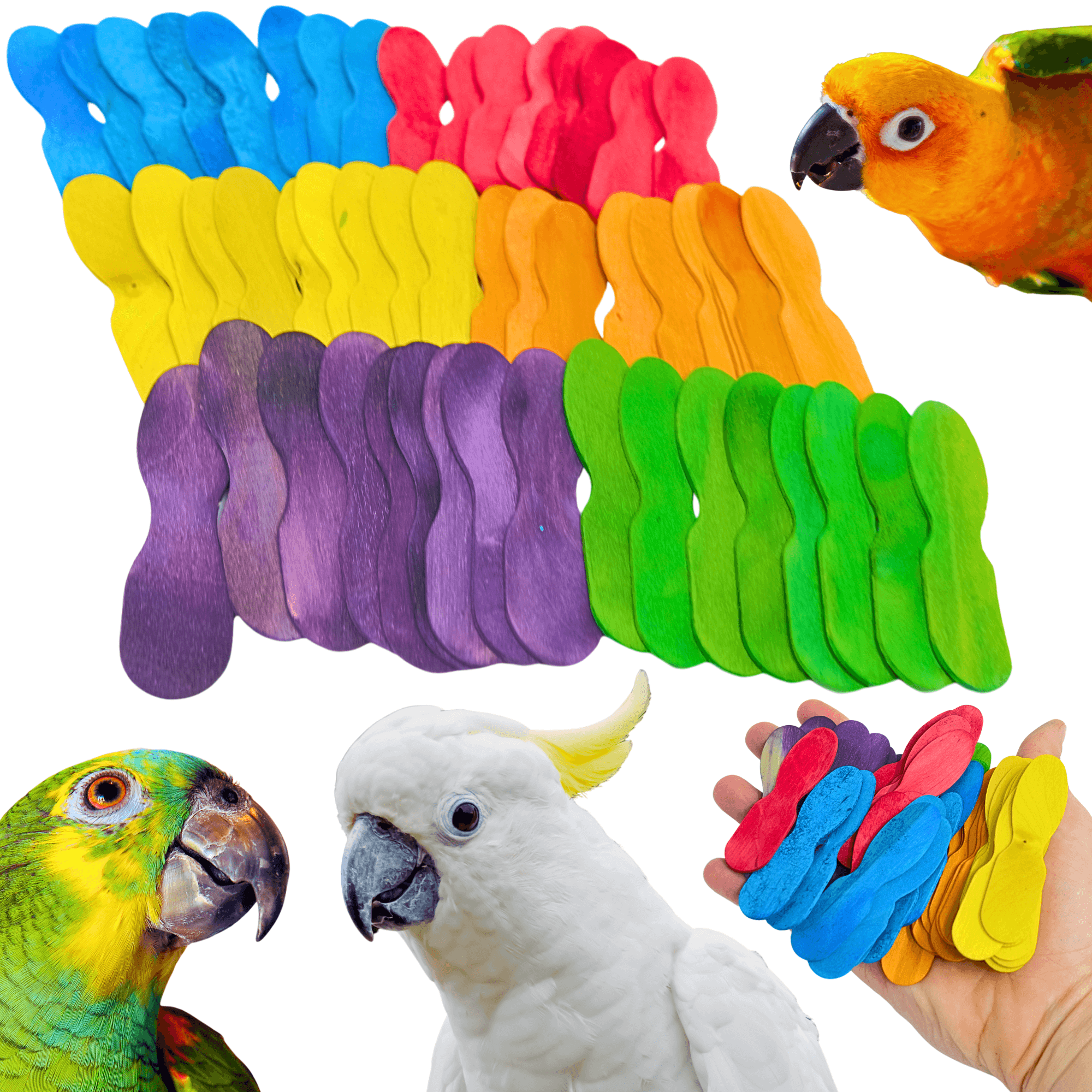 2665 PK50 Mini Scoop Spoons - Bonka Bird Toys