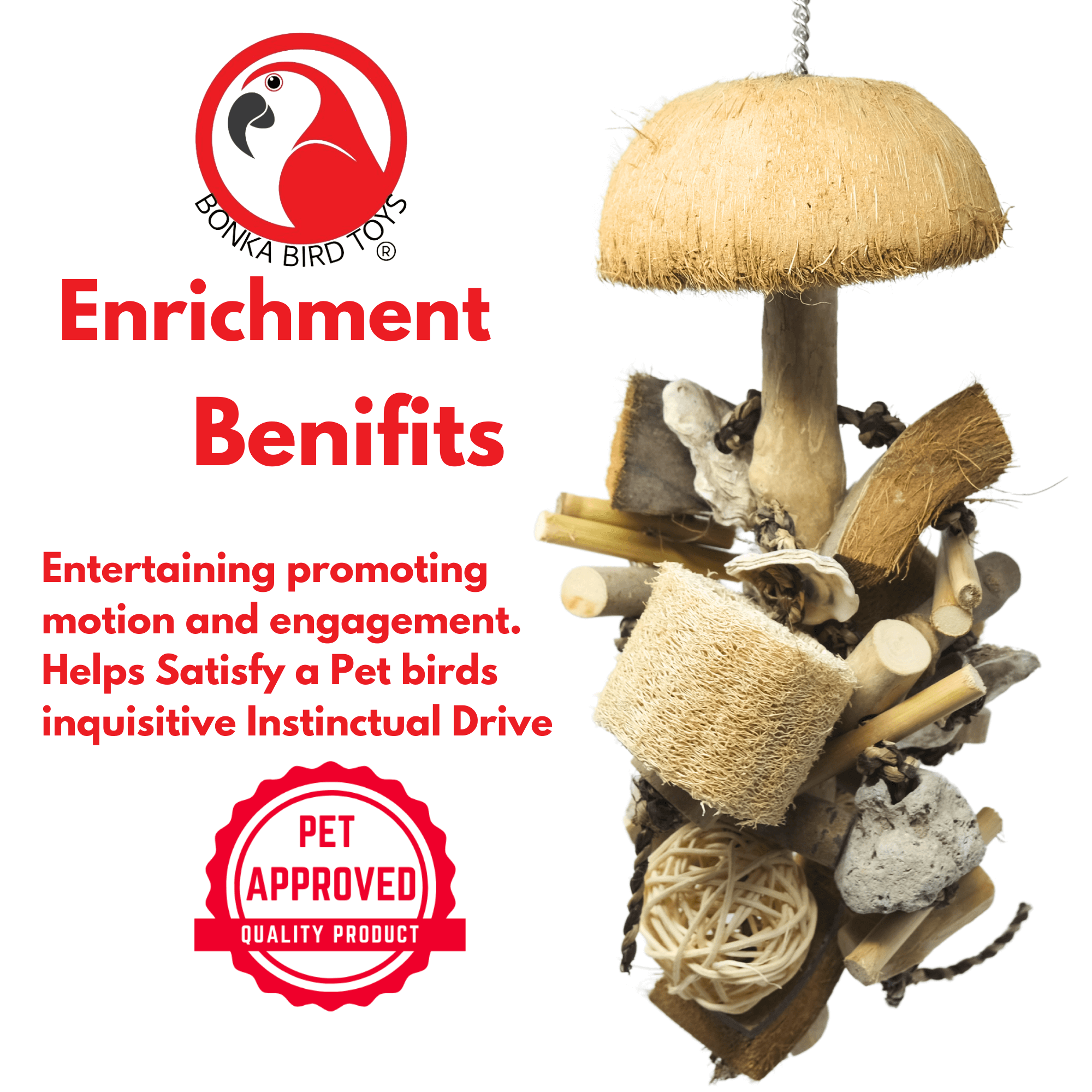 2668 Small Coco Loco - Bonka Bird Toys