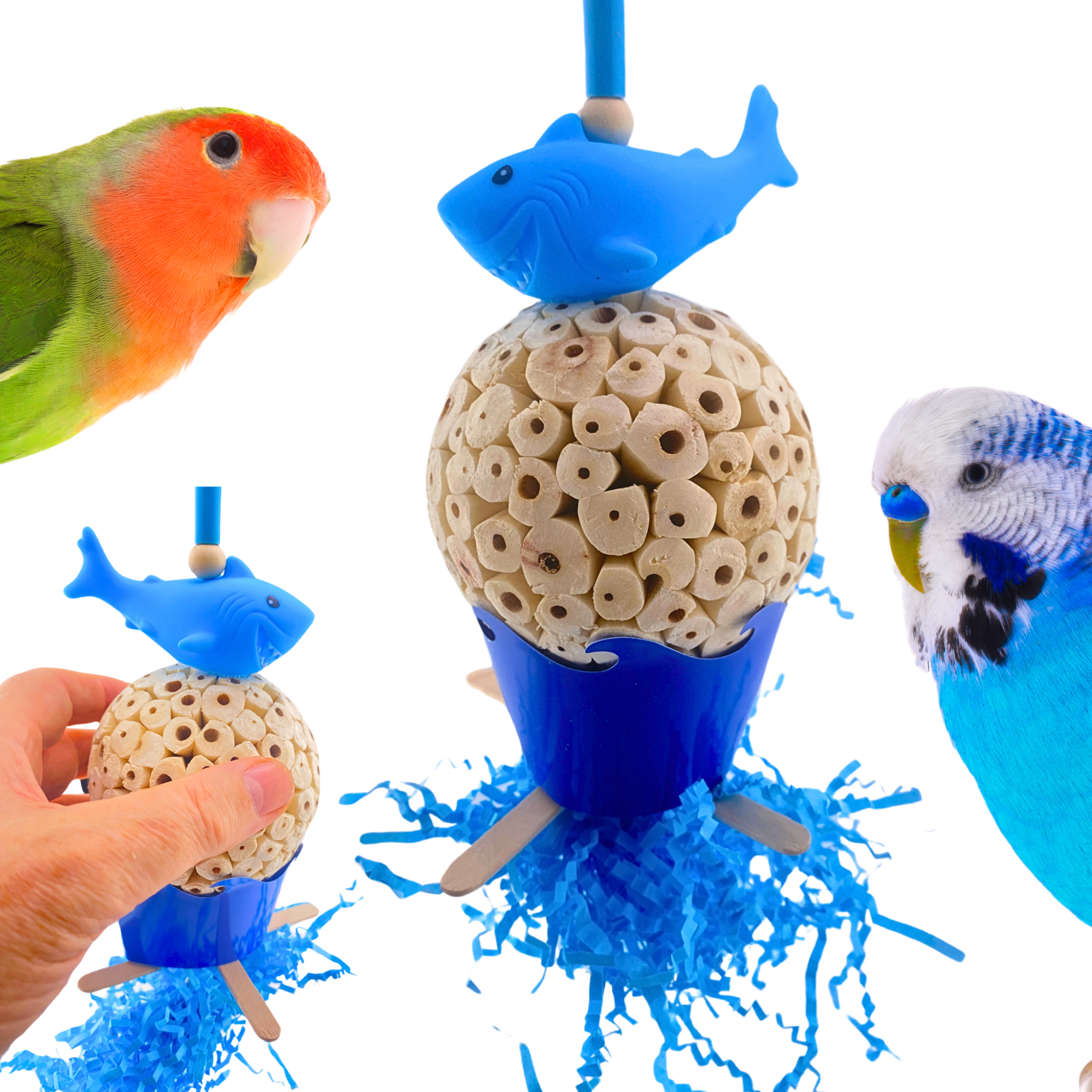2605 Sola Shark - Bonka Bird Toys