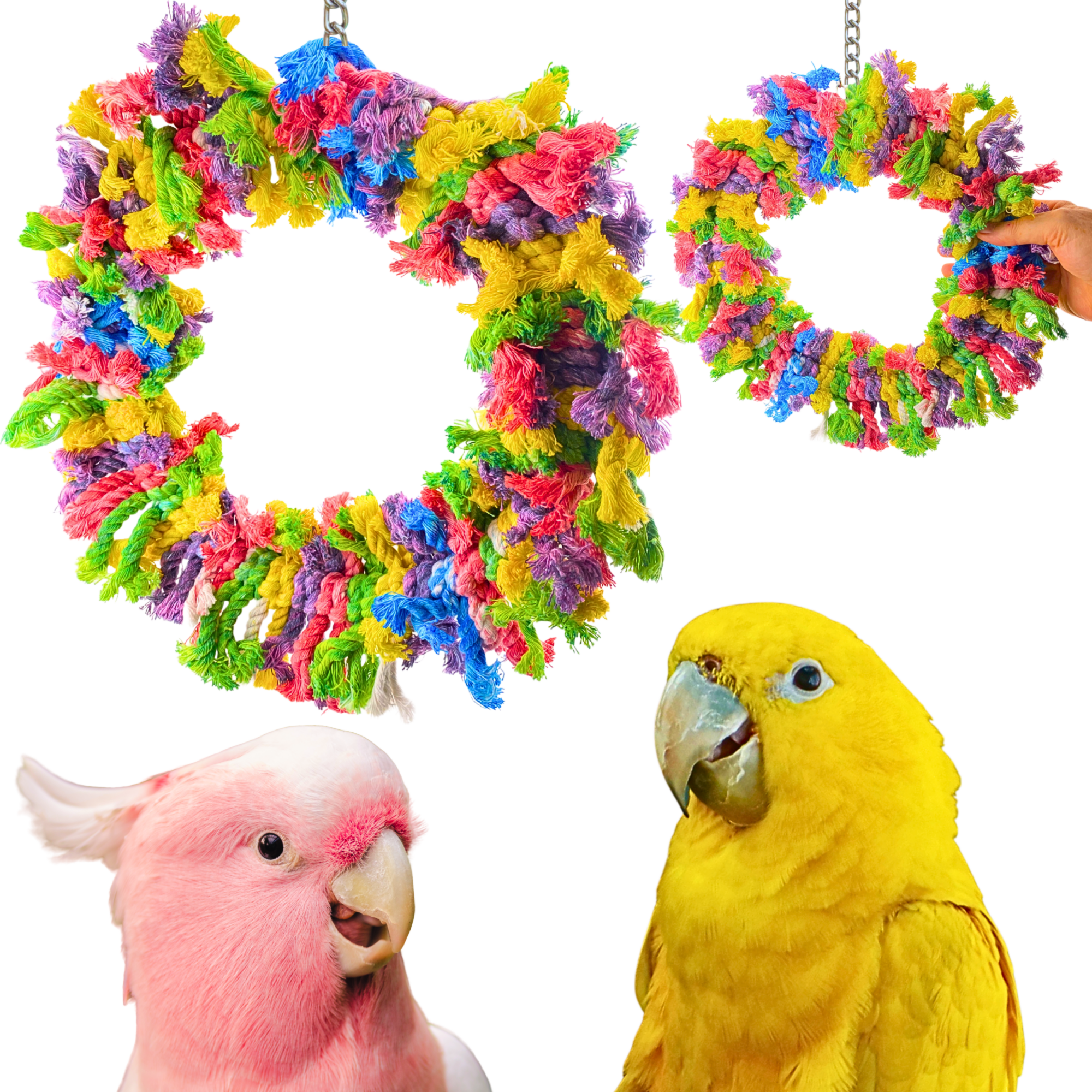 994 Fiesta Fluff Ring - Bonka Bird Toys