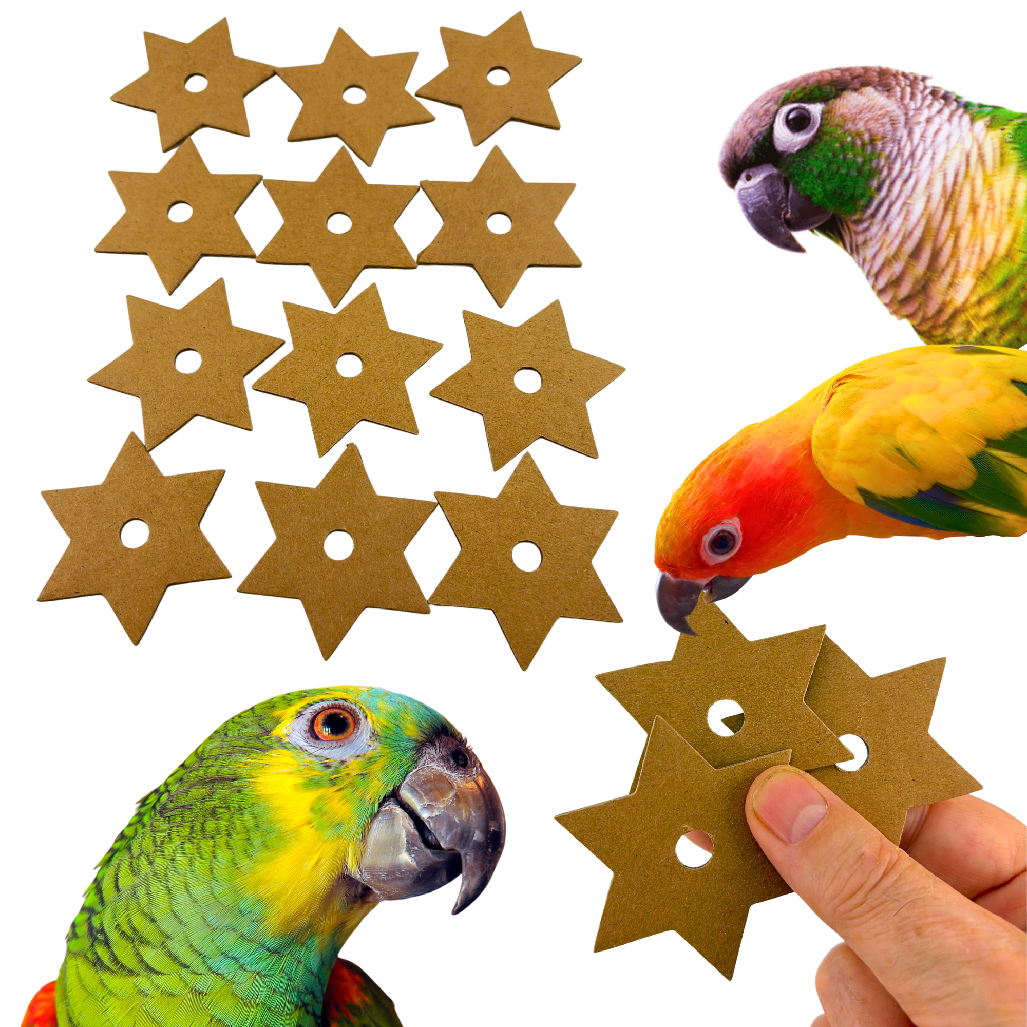 2777 Pk12 Small Cardboard Stars - Bonka Bird Toys