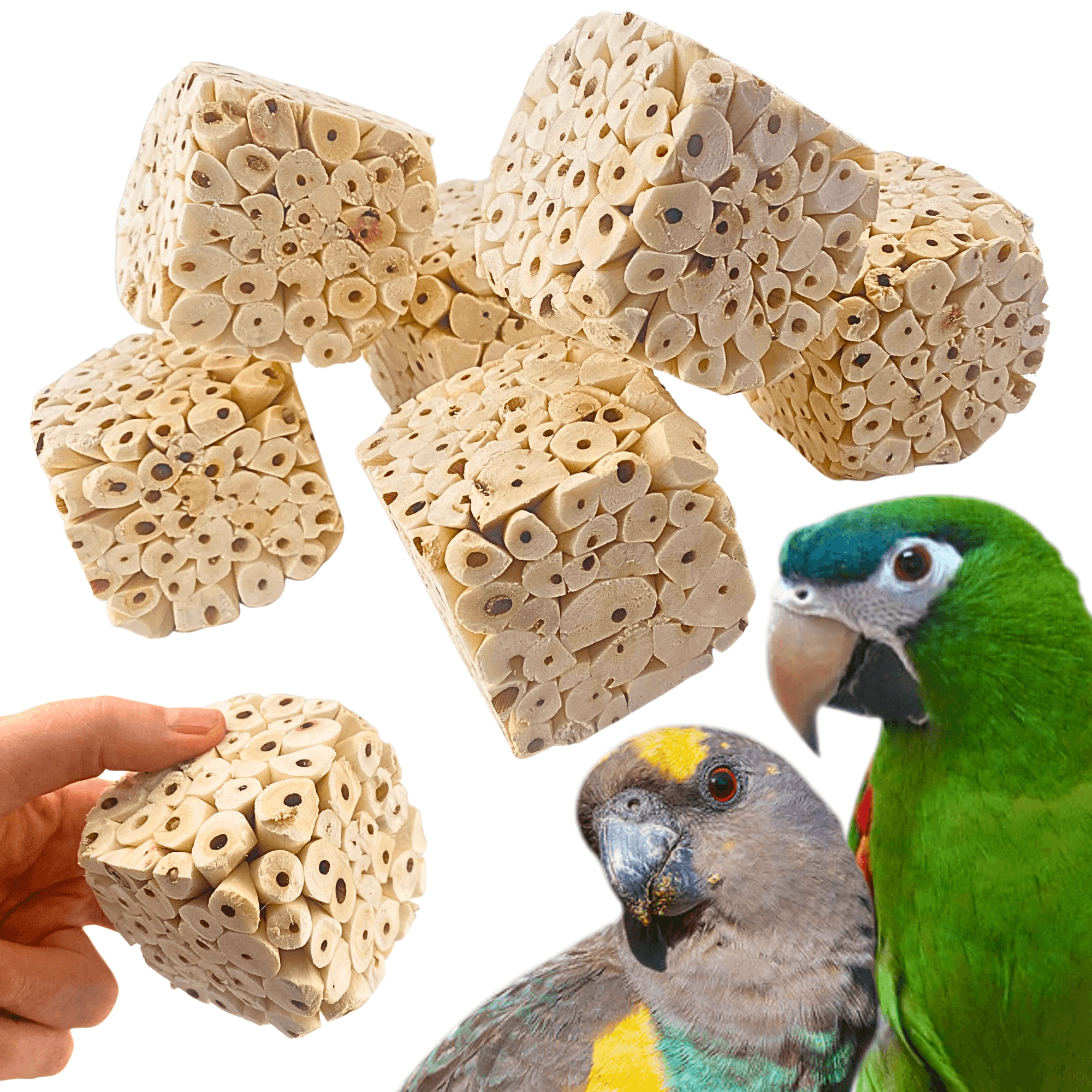 Big Sola Cubes - Bonka Bird Toys