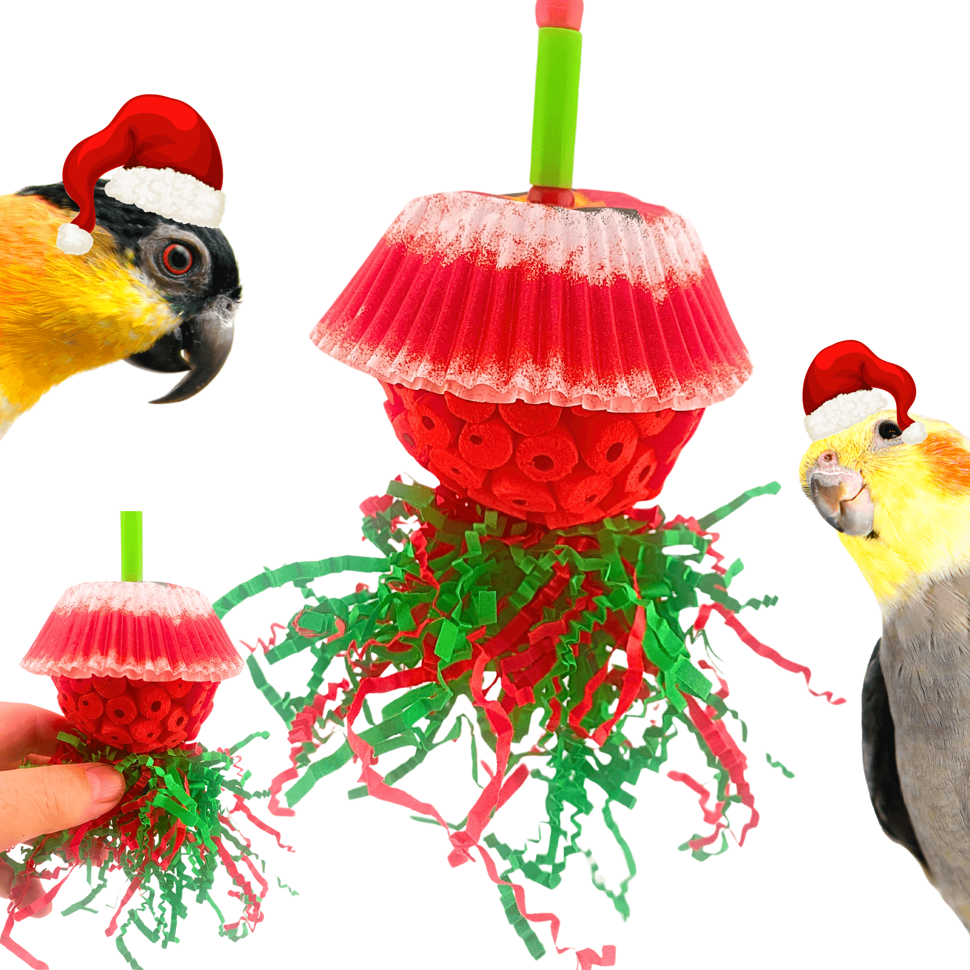 2735 Sola Christmas Shade Buckle - Bonka Bird Toys