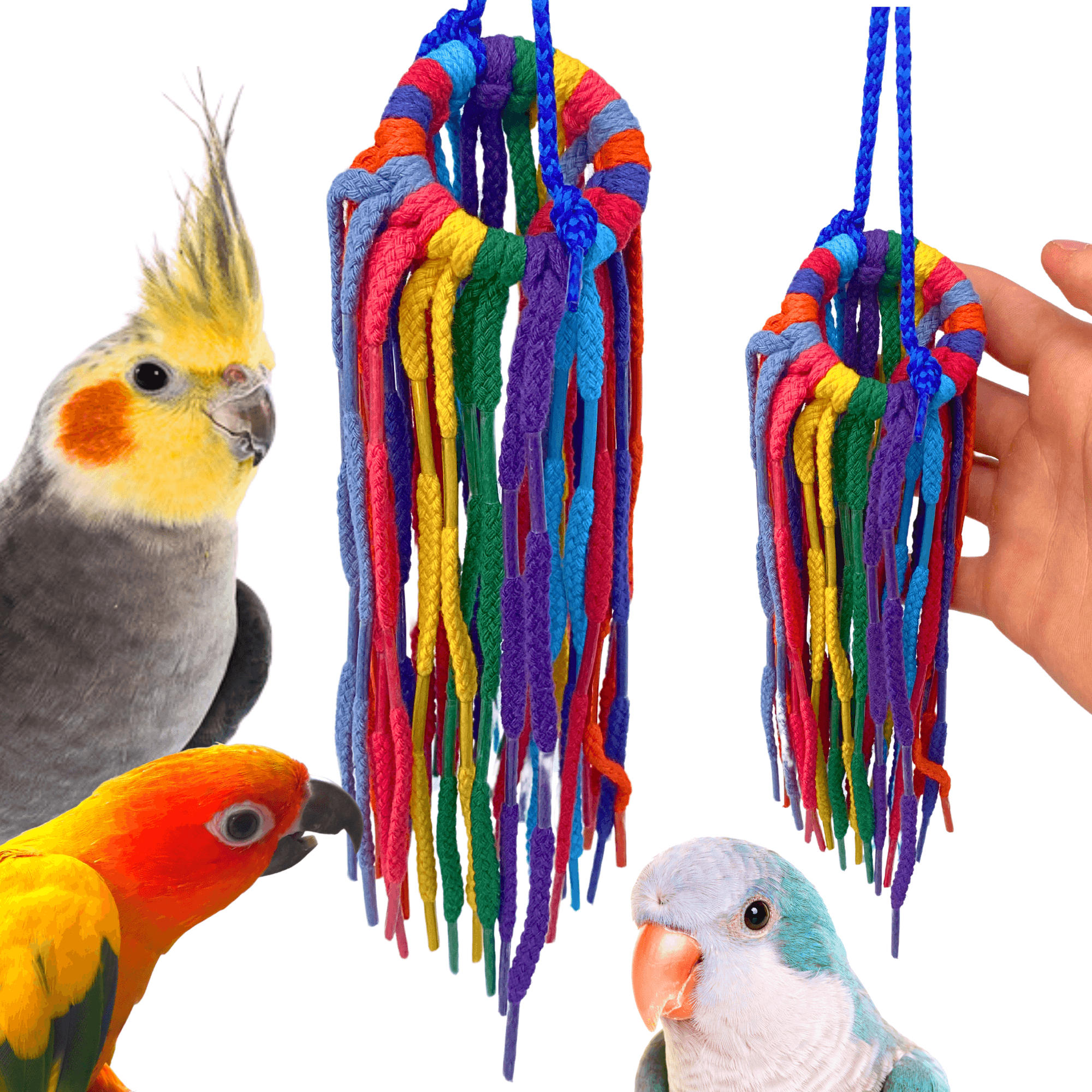 51214 Small Aglet Heaven - Bonka Bird Toys
