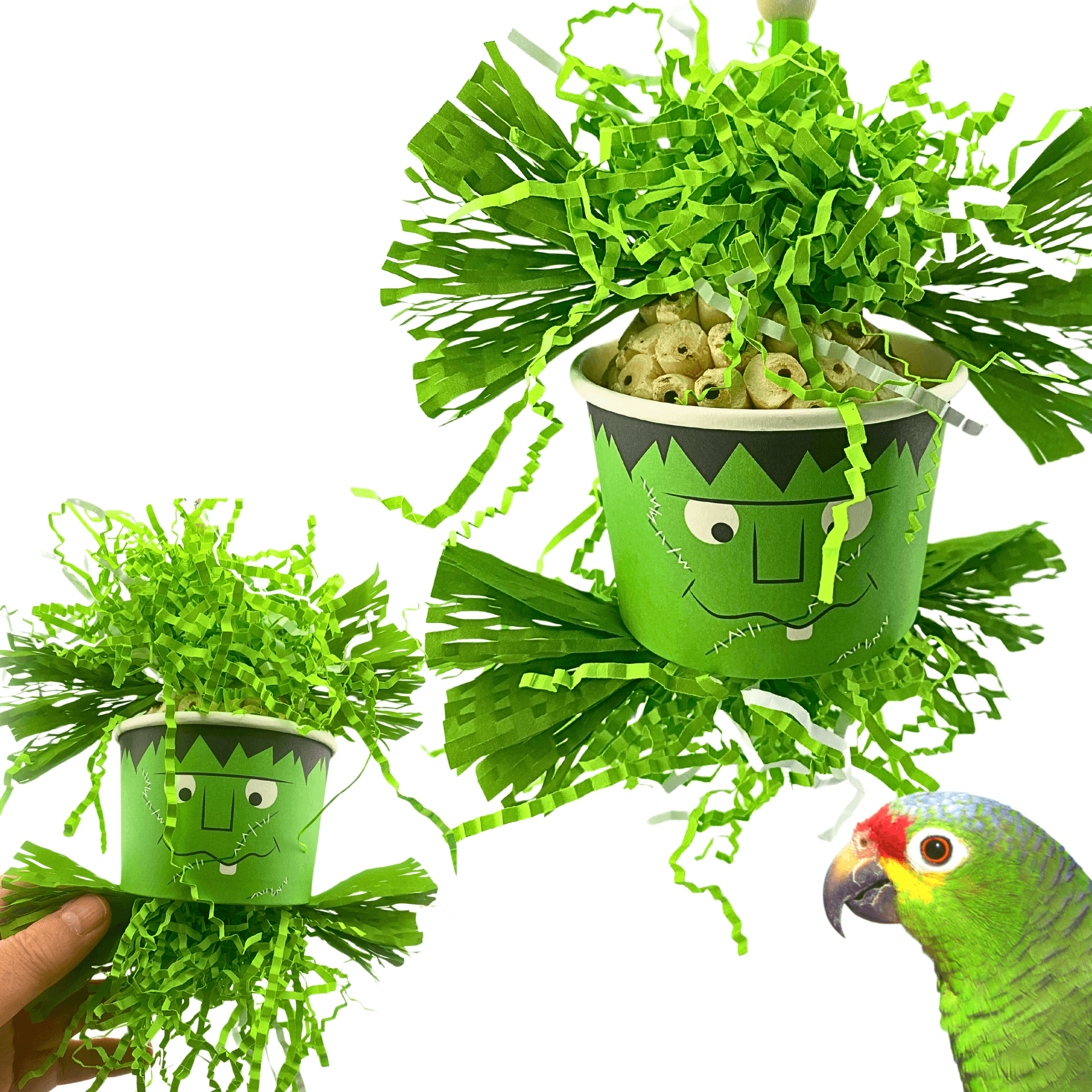 2712 Halloween Frankenstein Dish - Bonka Bird Toys