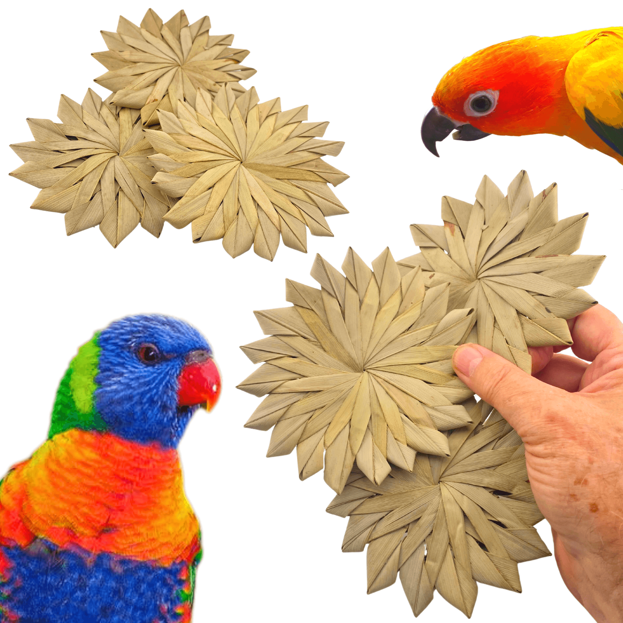 3347 Pk3 Large 4" Woven Palm Leaf Flowers - Bonka Bird Toys