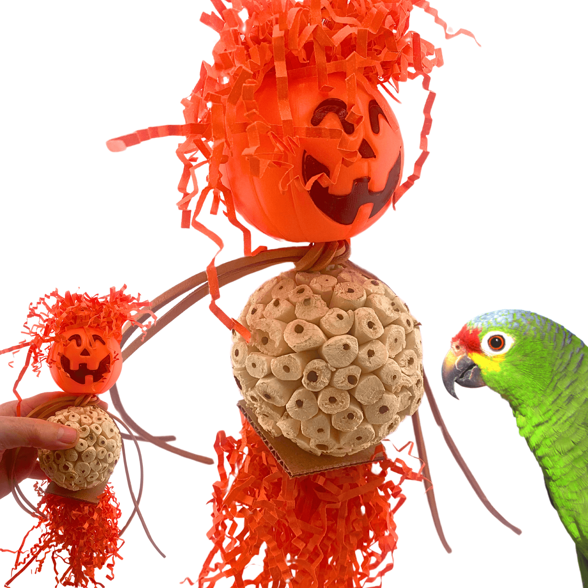 2702 Halloween Pumpkin Bobblehead - Bonka Bird Toys