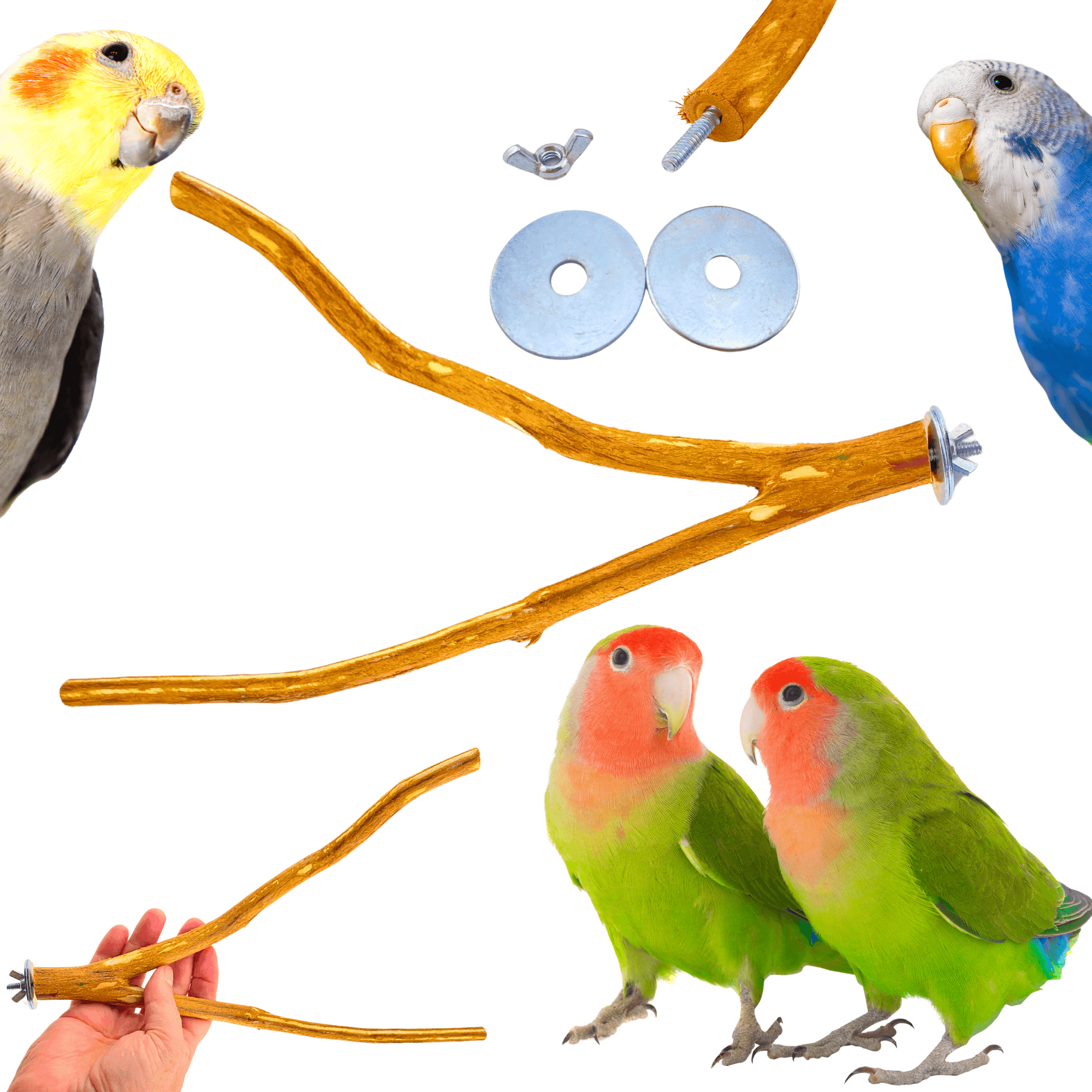 2970 Dragonwood Multi Perch - Bonka Bird Toys