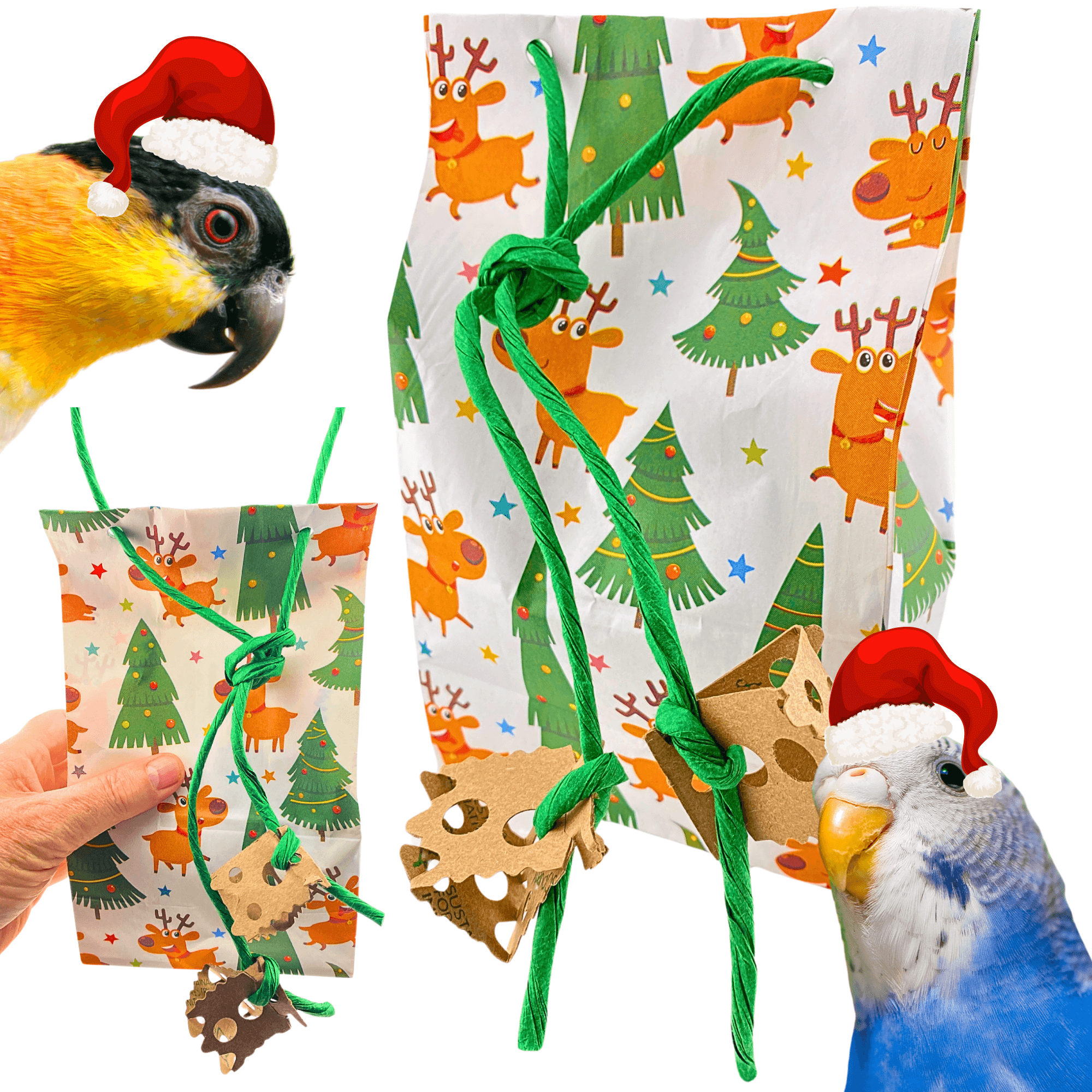 2750 Christmas Rudolph Treat Bag - Bonka Bird Toys