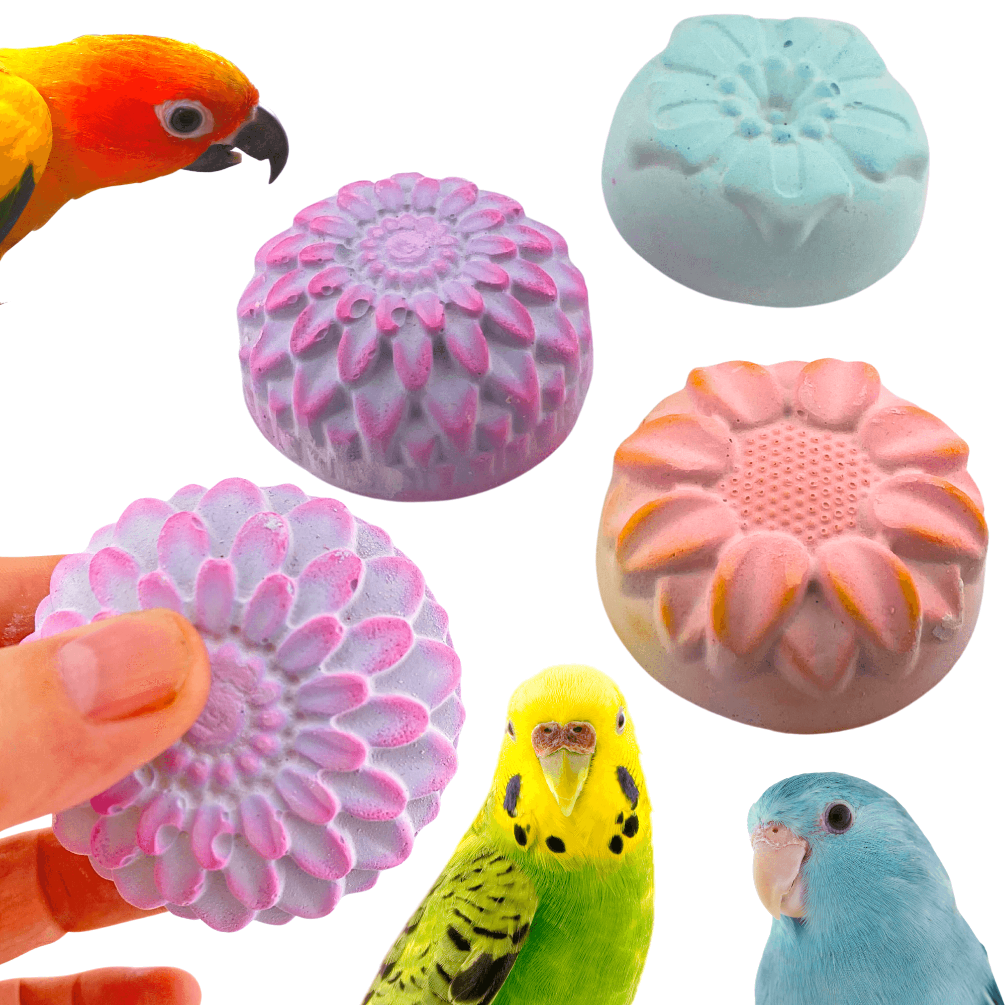 2860 Flower Power Calcium Treats - Bonka Bird Toys
