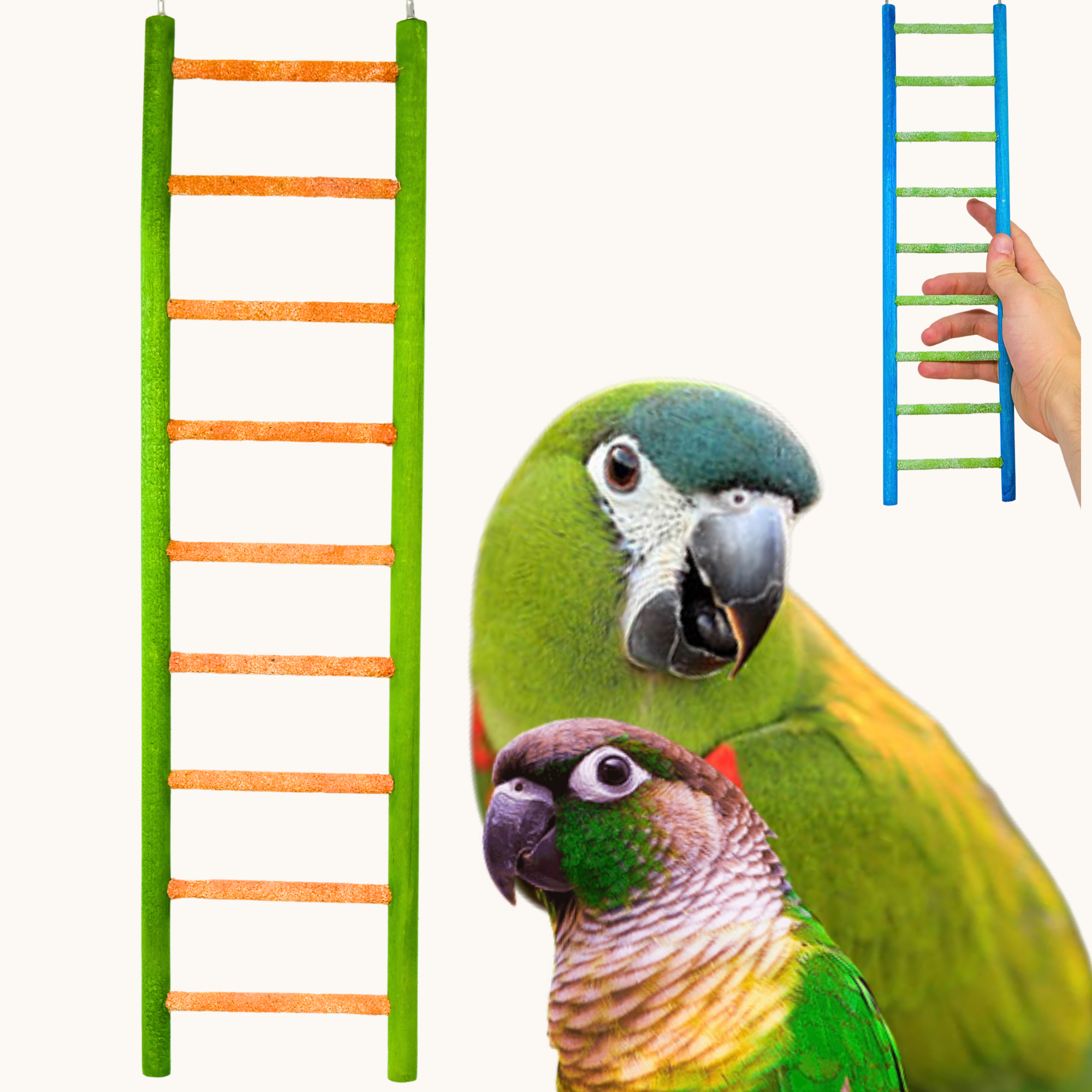 30803 Medium 14" Pedi-Ladder - Bonka Bird Toys