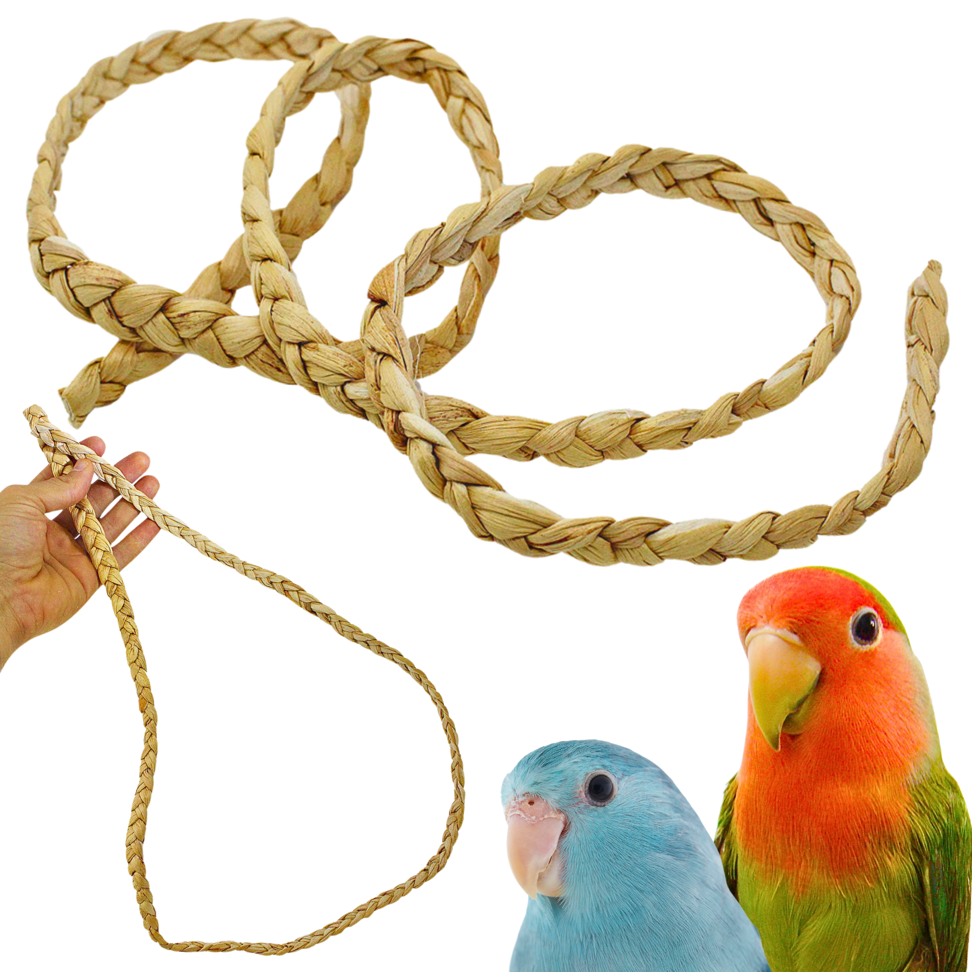 2135 Braided 48-Inch Palm Rope - Bonka Bird Toys
