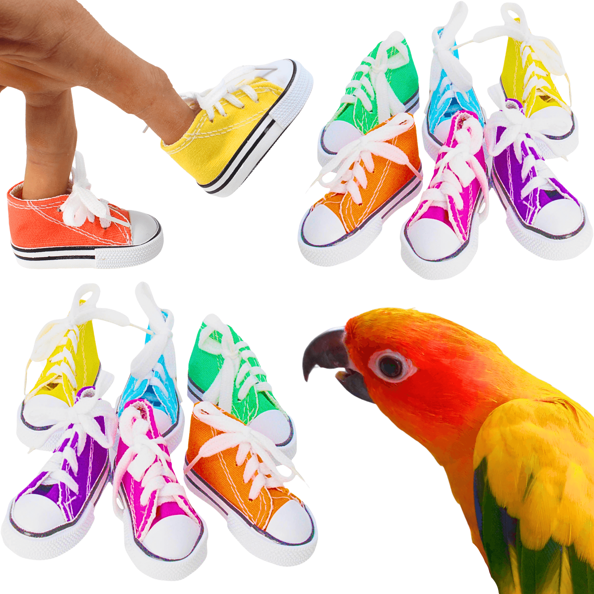 Mini Sneakers Pk12 - Pk24 - Bonka Bird Toys