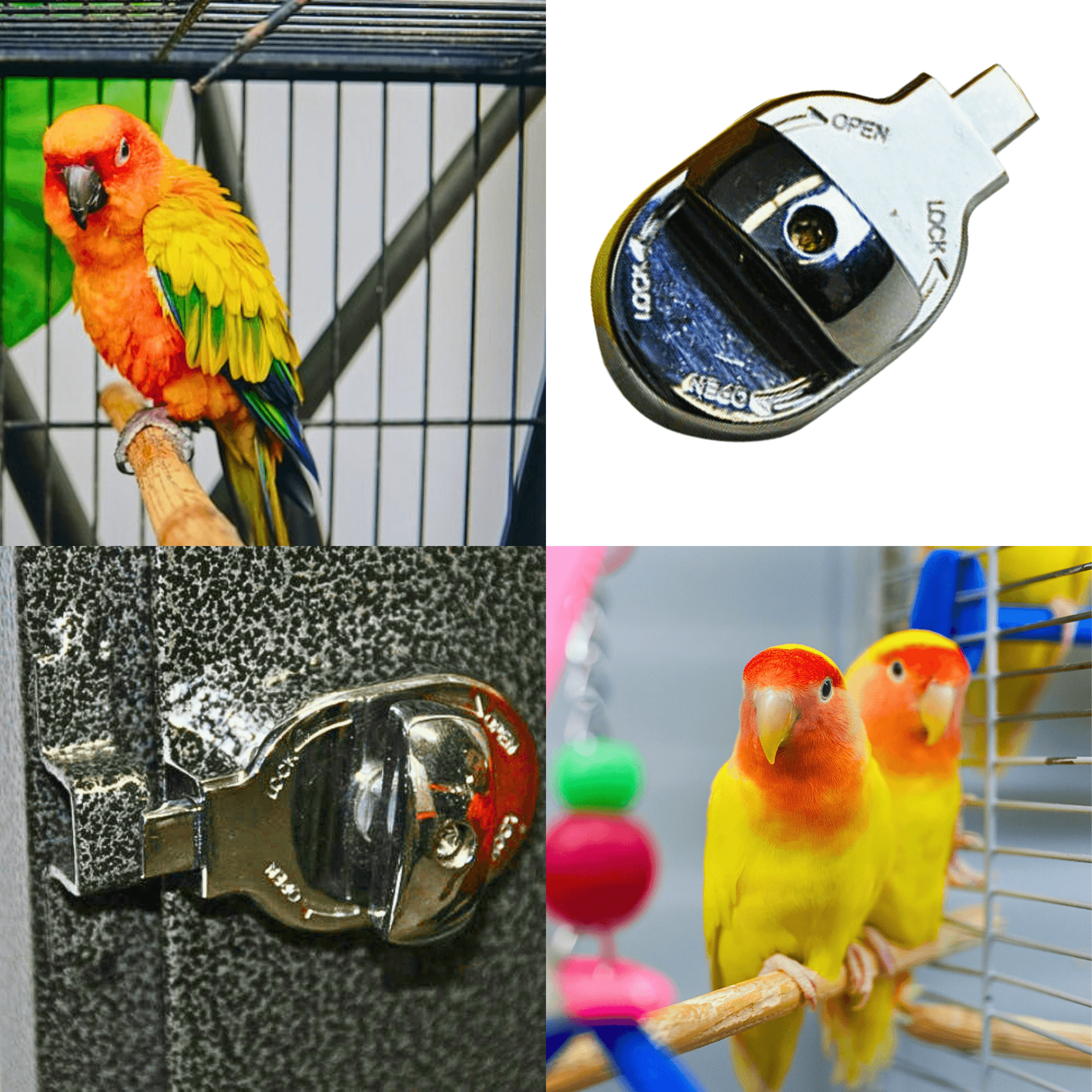 1334 Lock 6 Round Feeder Door Lock - Bonka Bird Toys