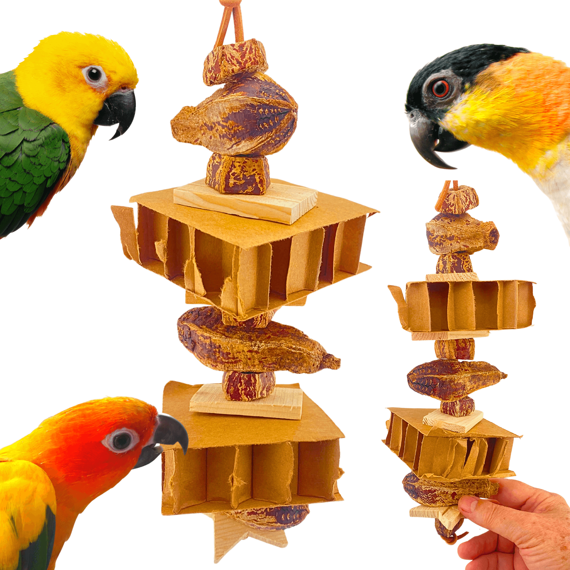 1138 Rustic Ripper - Bonka Bird Toys