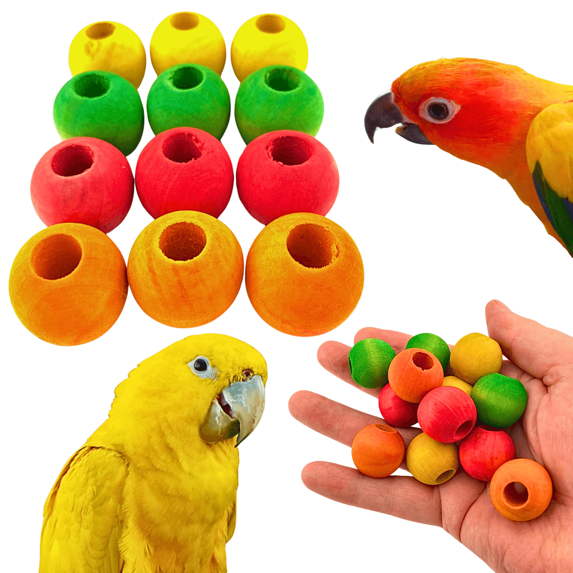 1159 Pk12 3/4" Wood Balls - Bonka Bird Toys