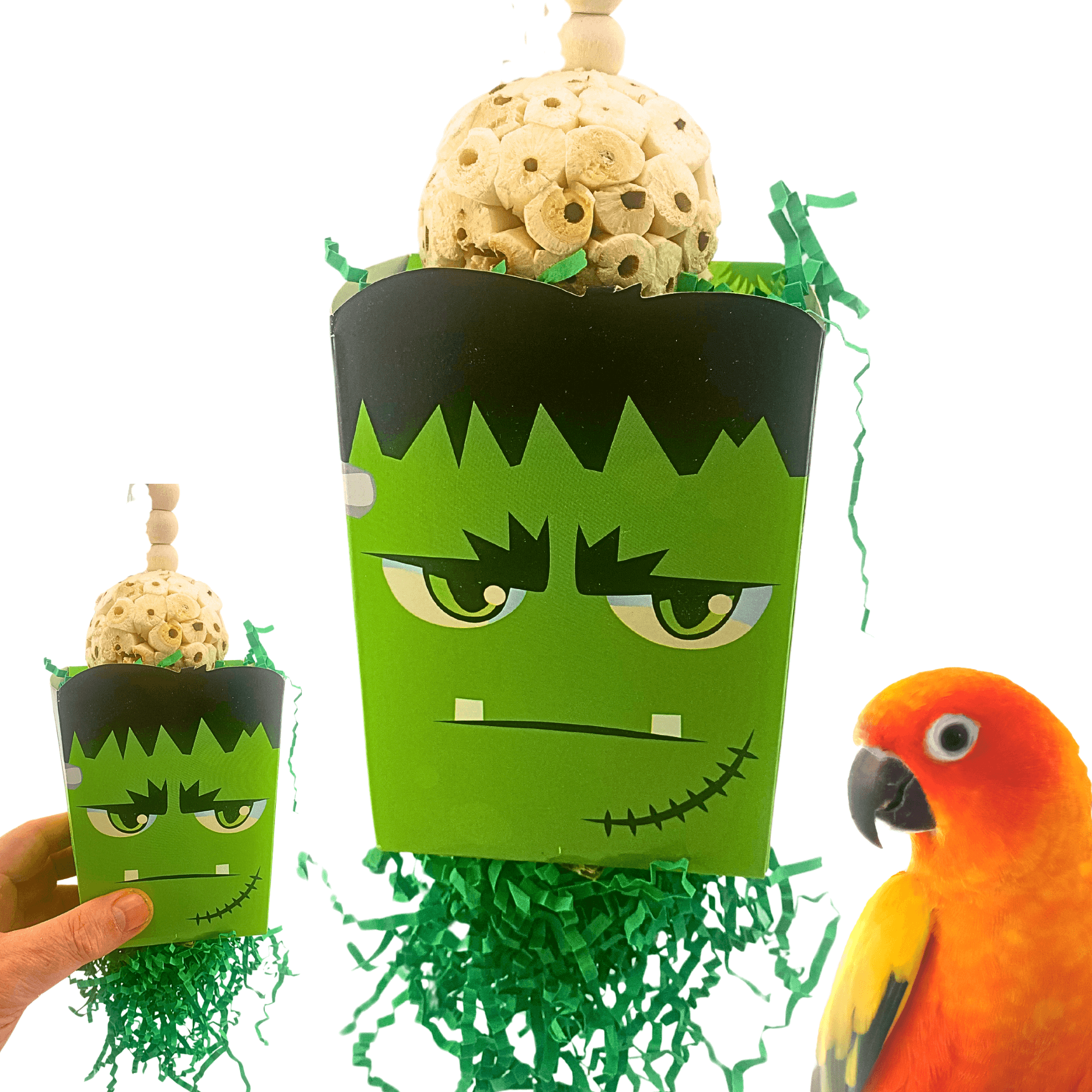 2685 Halloween Frankenstein Box - Bonka Bird Toys