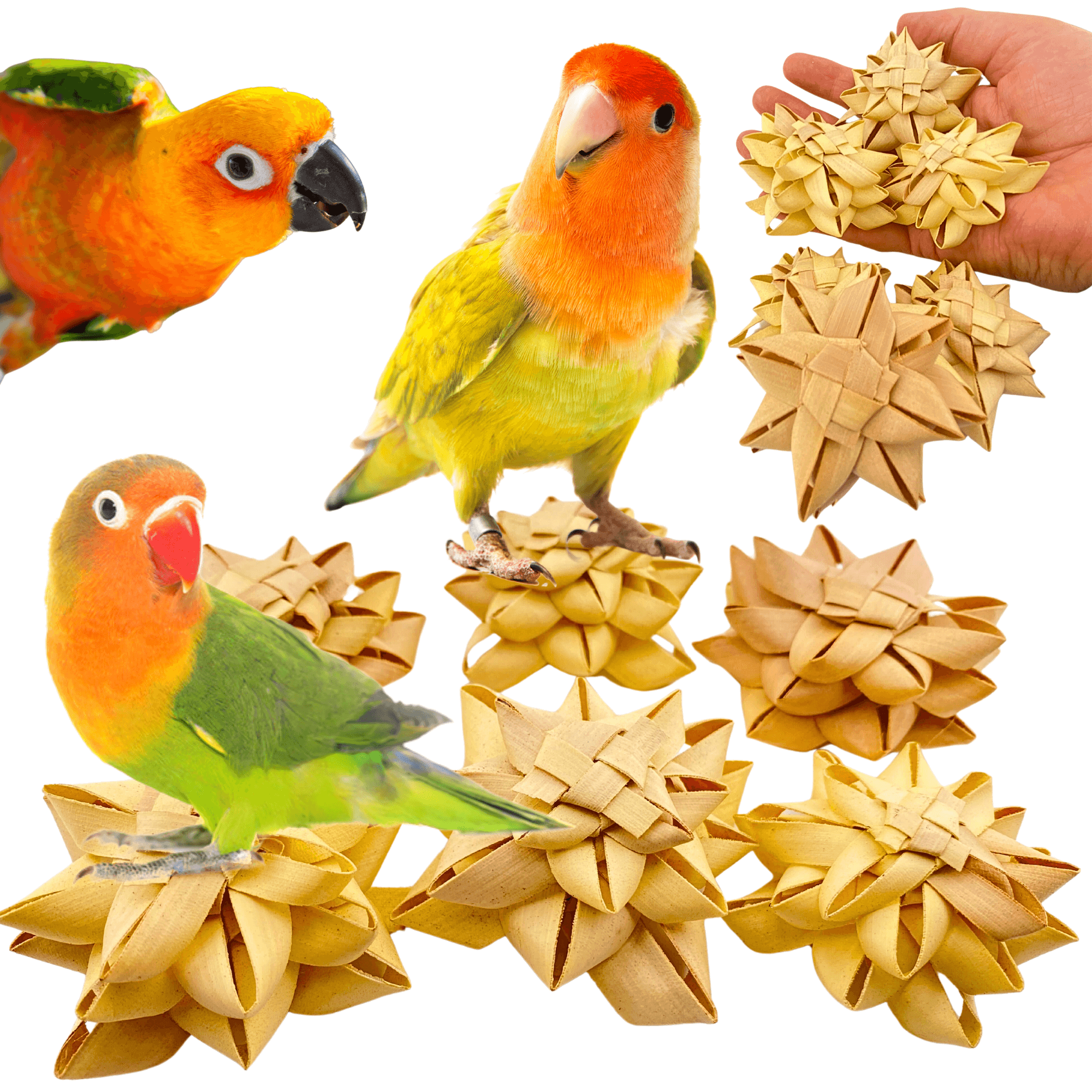 3821 Pk6 Medium Palm Flower - Bonka Bird Toys