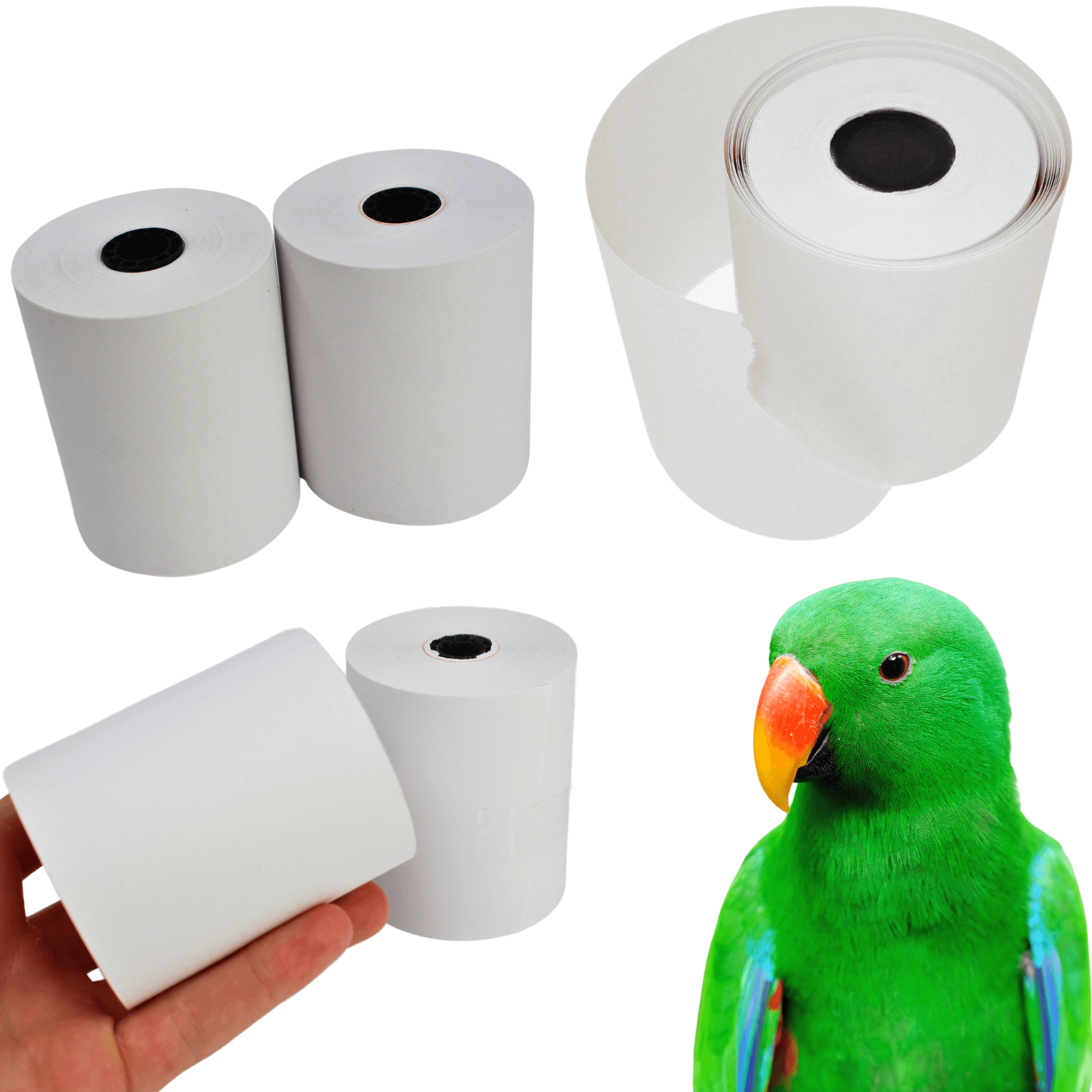 3135 2pk Large Shredmaster Refill 0037 - Bonka Bird Toys