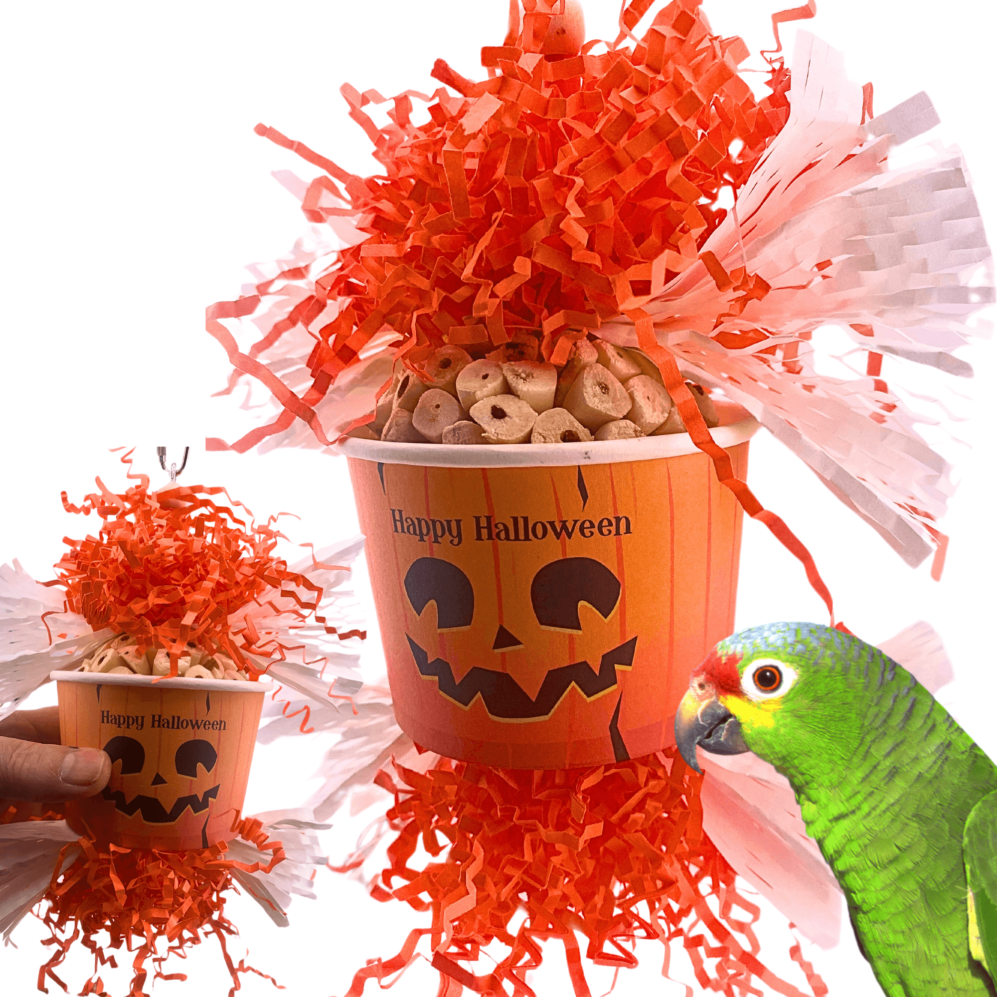 2710 Halloween Pumpkin Dish - Bonka Bird Toys